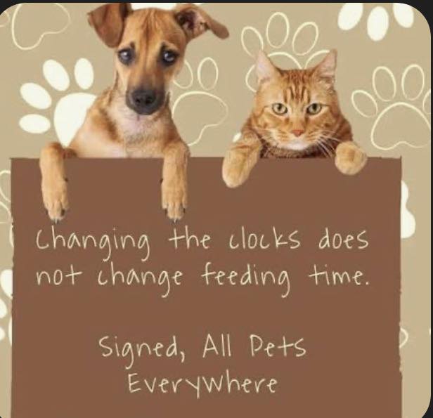 Animal Eye Guys (Miami Gardens) Miami Gardens