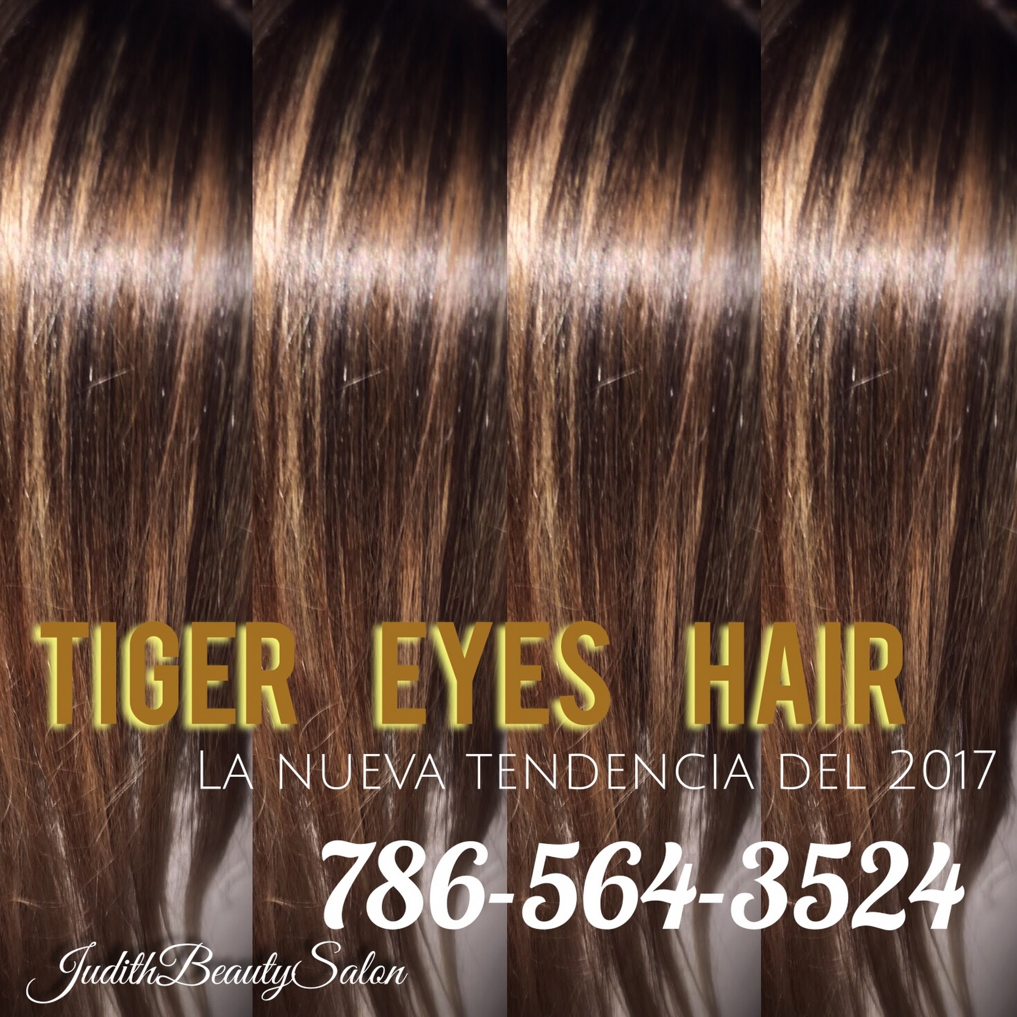 JUDITH BEAUTY STUDIO 14720 Balgowan Rd, Miami Lakes Florida 33016