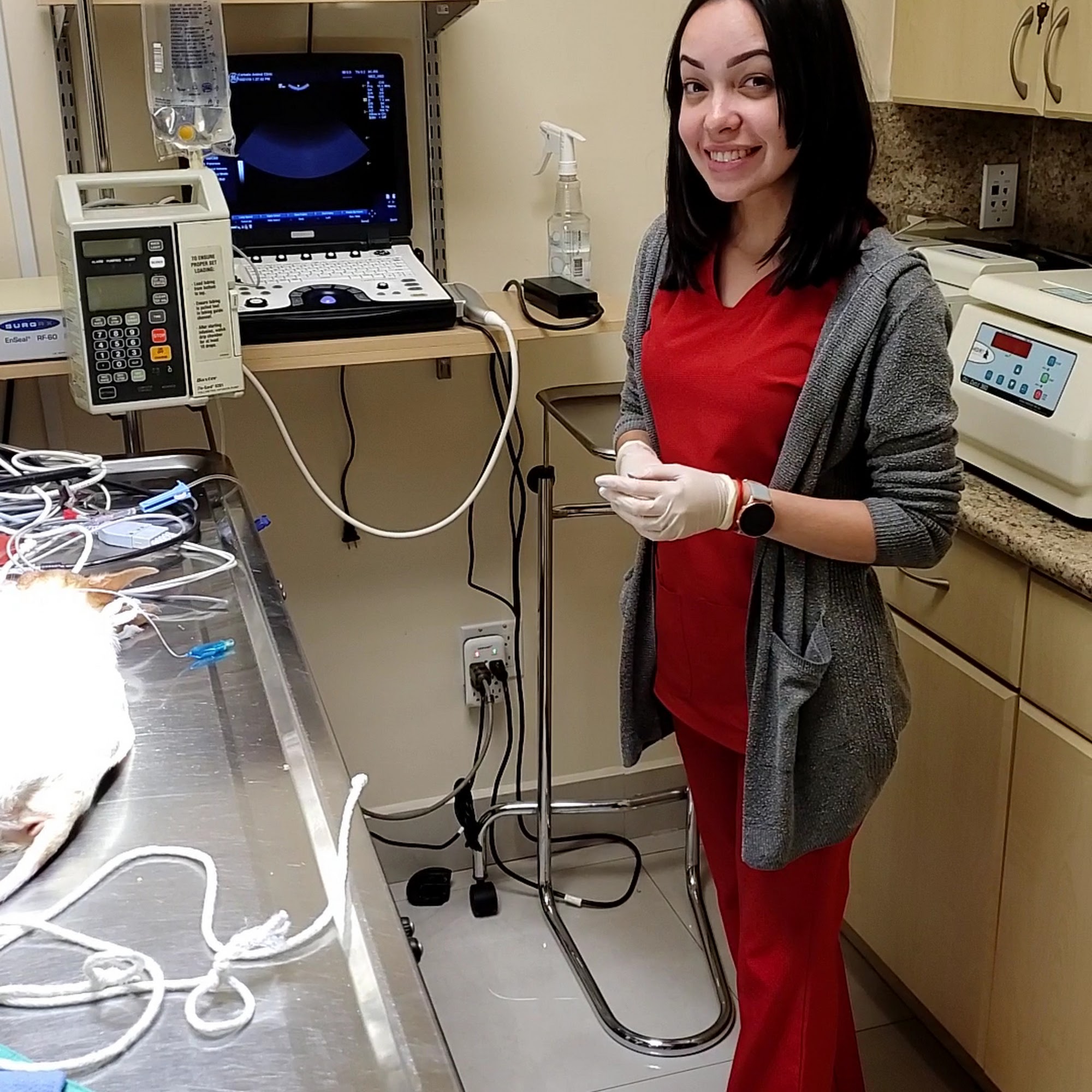 Carballo Animal Clinic Miami