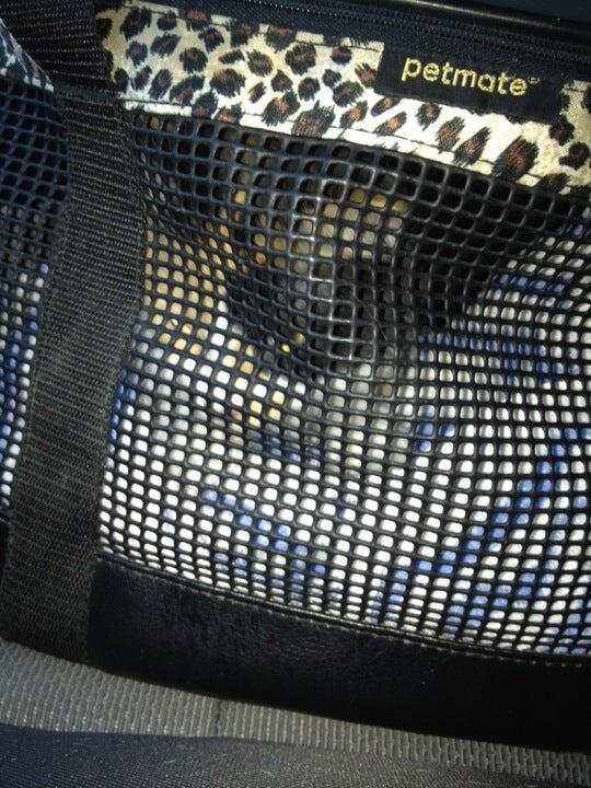 Southwest Animal Hospital Miami