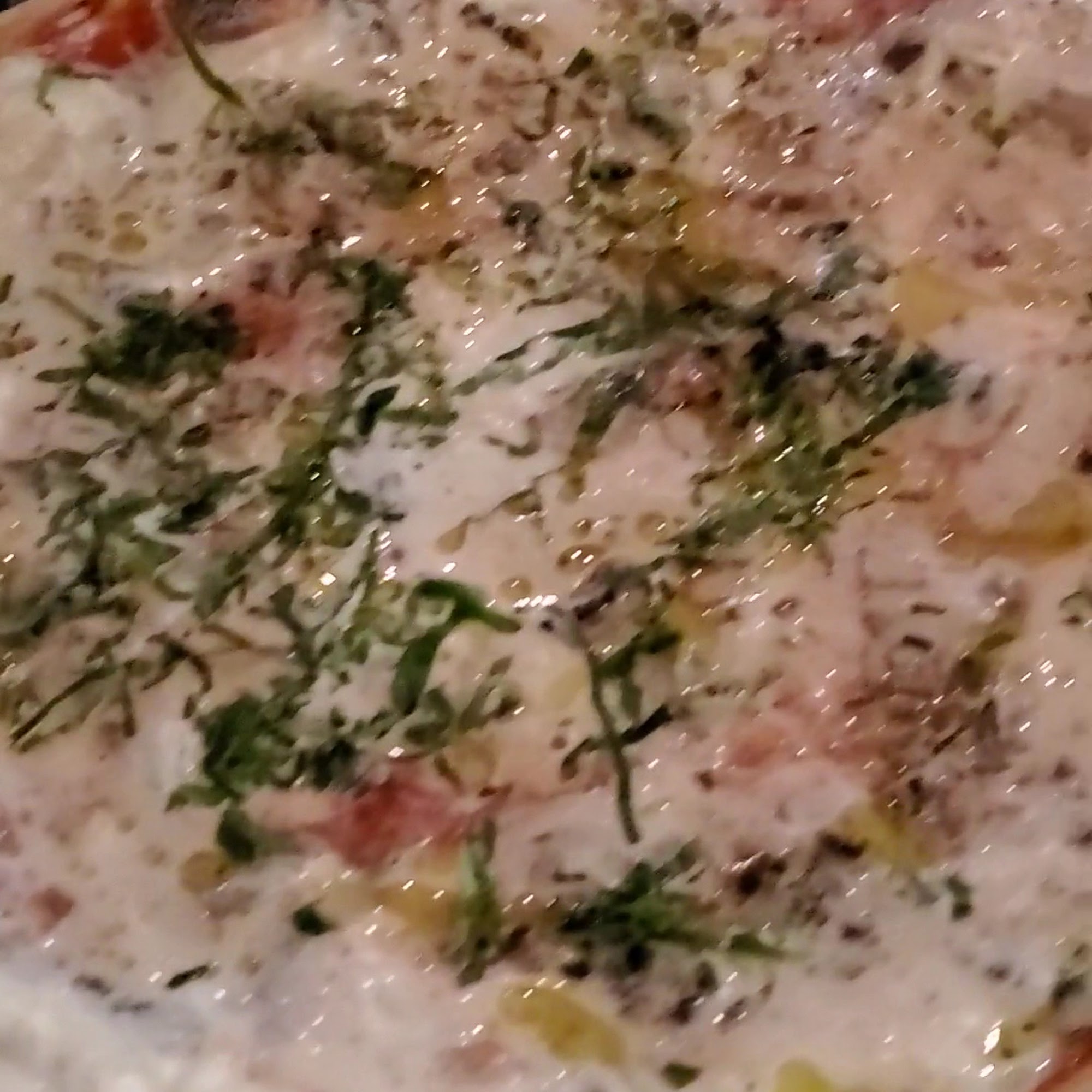 Mister O1 Extraordinary Pizza - Coconut Grove Miami