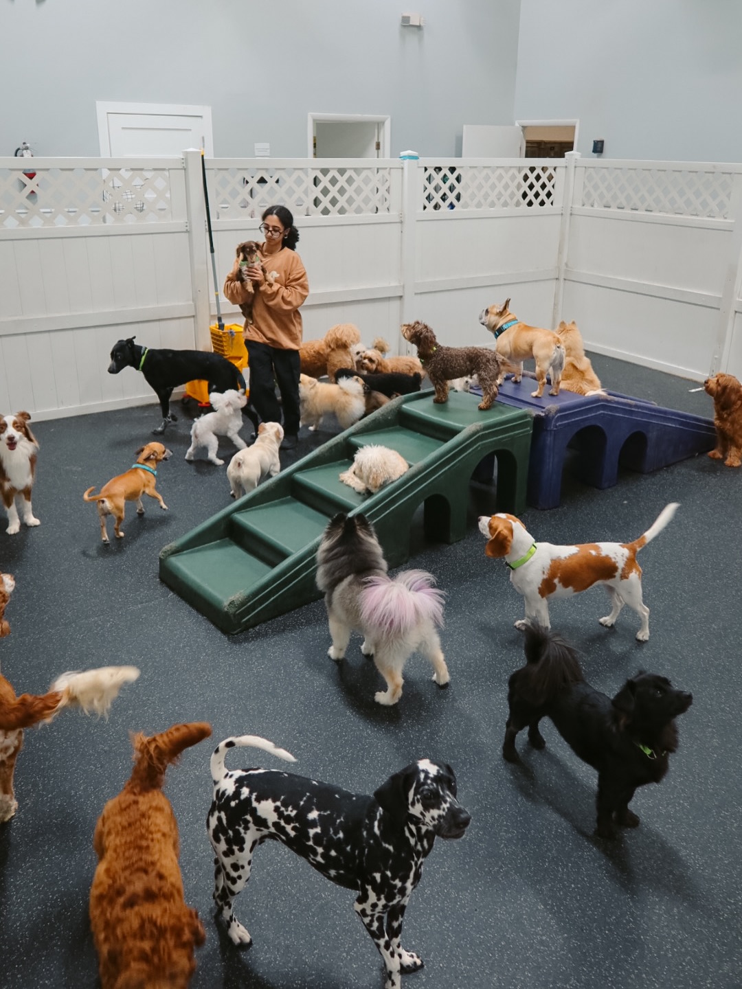 DOG Hotels Wynwood Miami