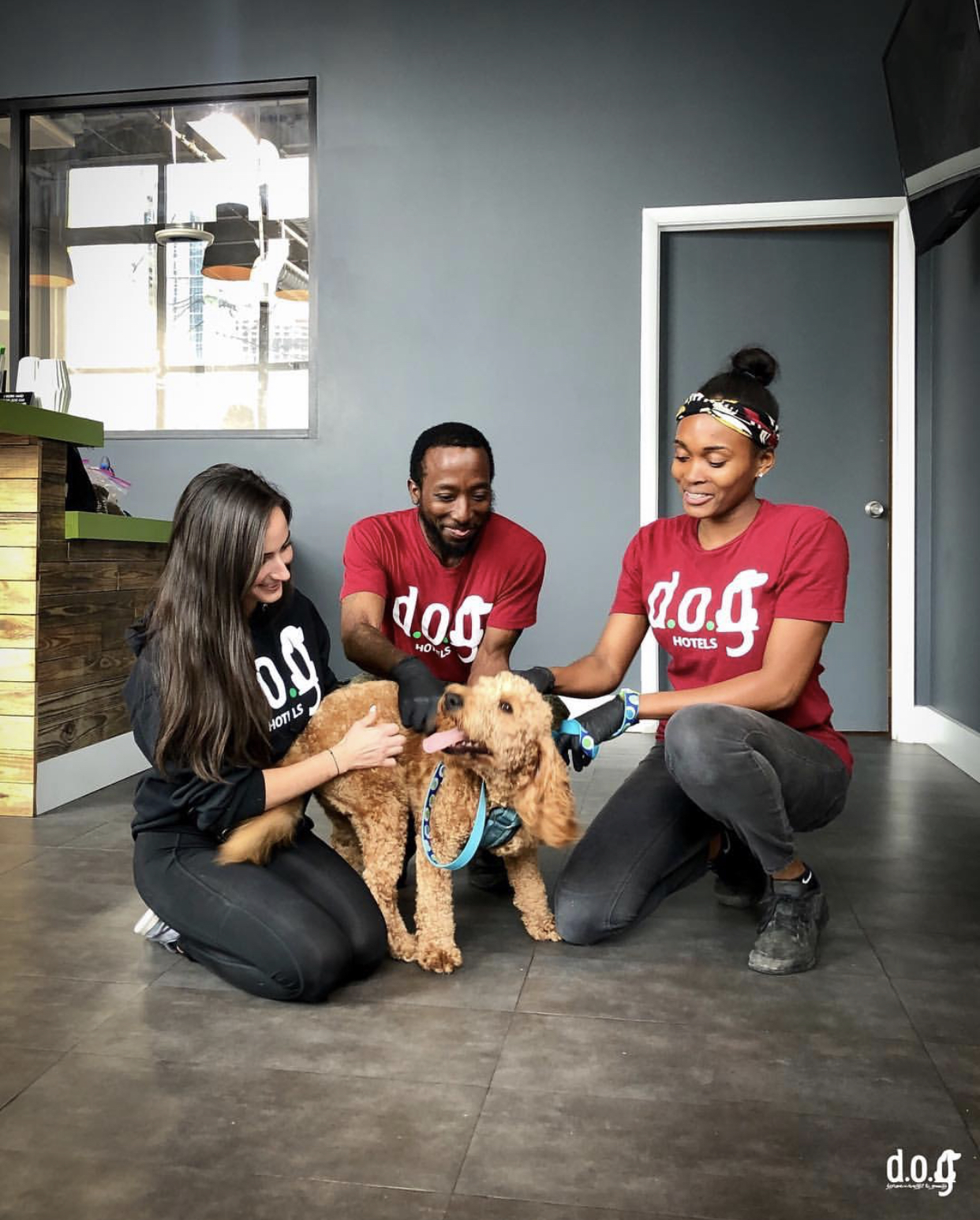 DOG Hotels Wynwood Miami