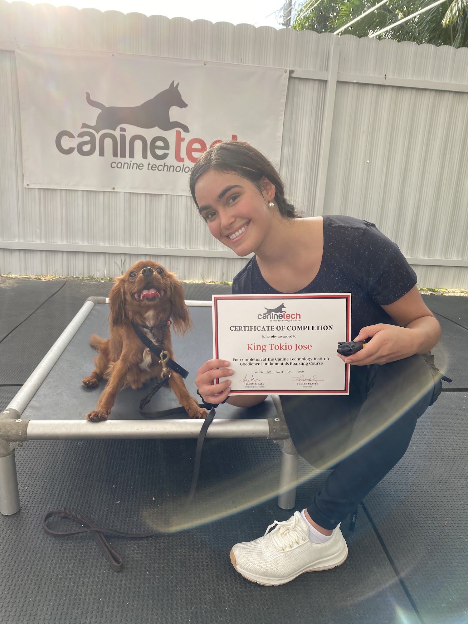 Canine Technology Institute - Miami Dog Boarding & Training School Miami