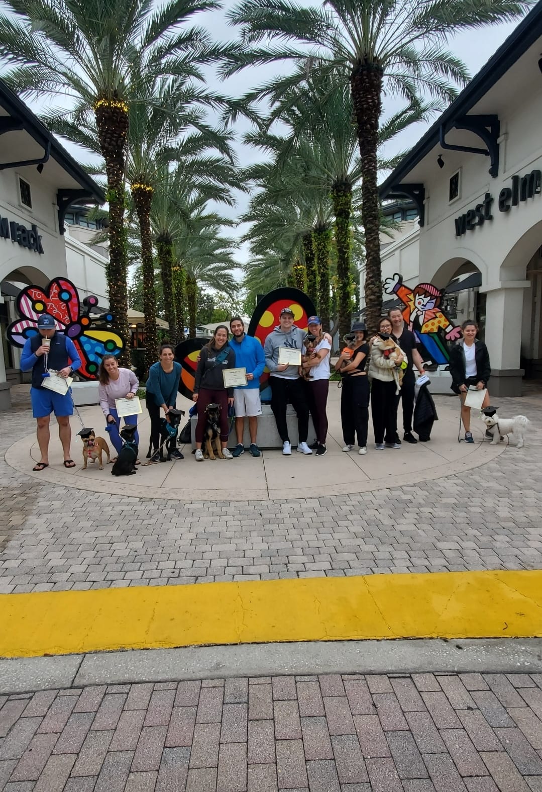 Crown Dog Training Miami