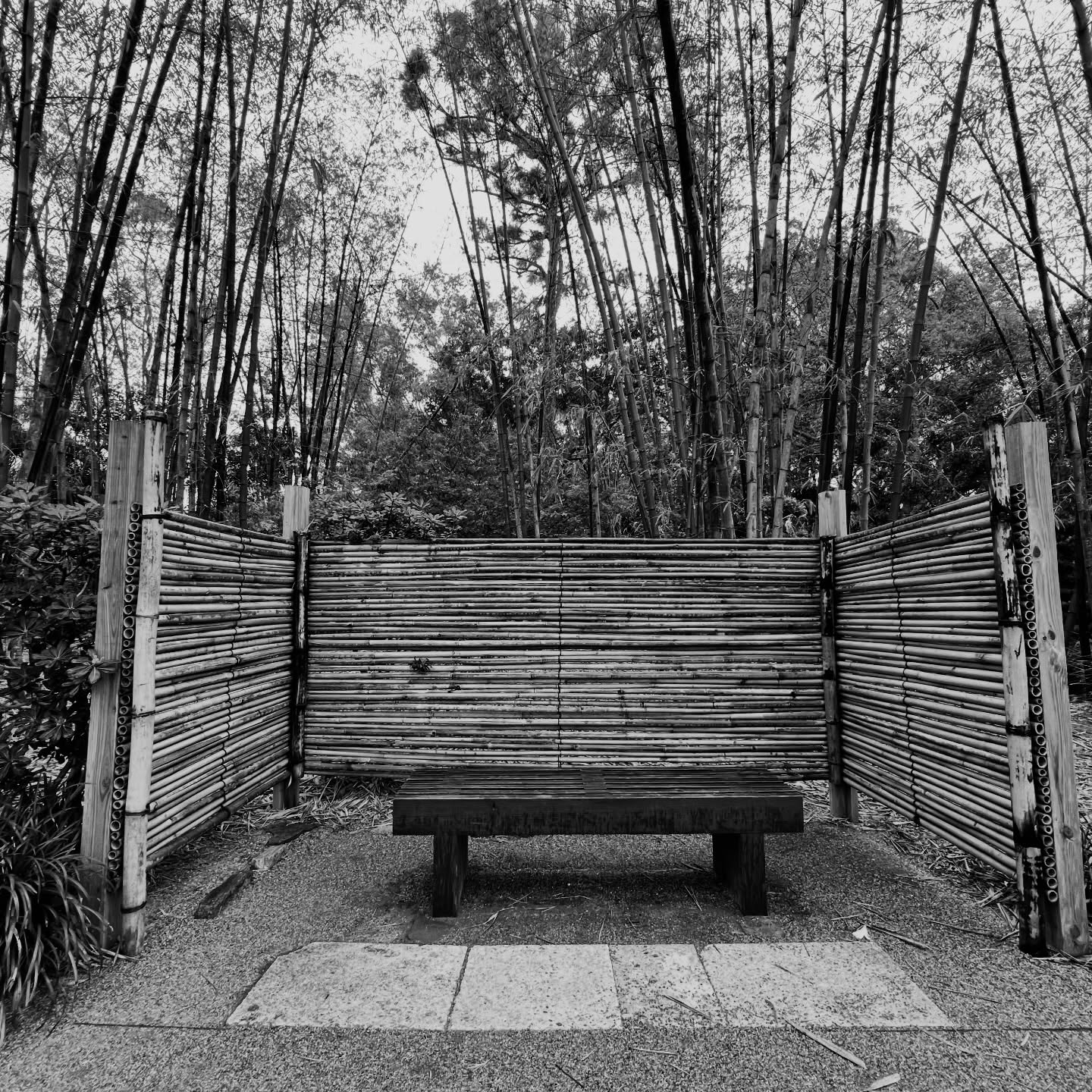 Jc Photography