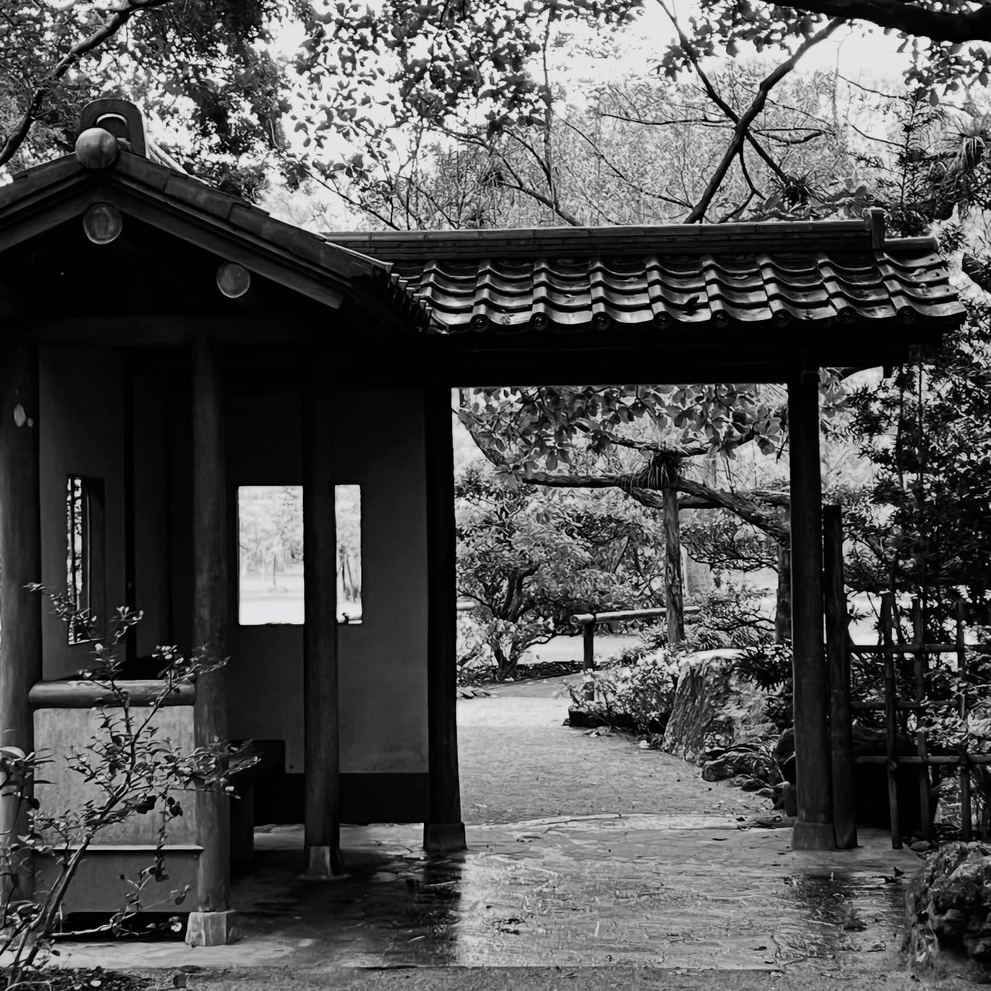 Jc Photography