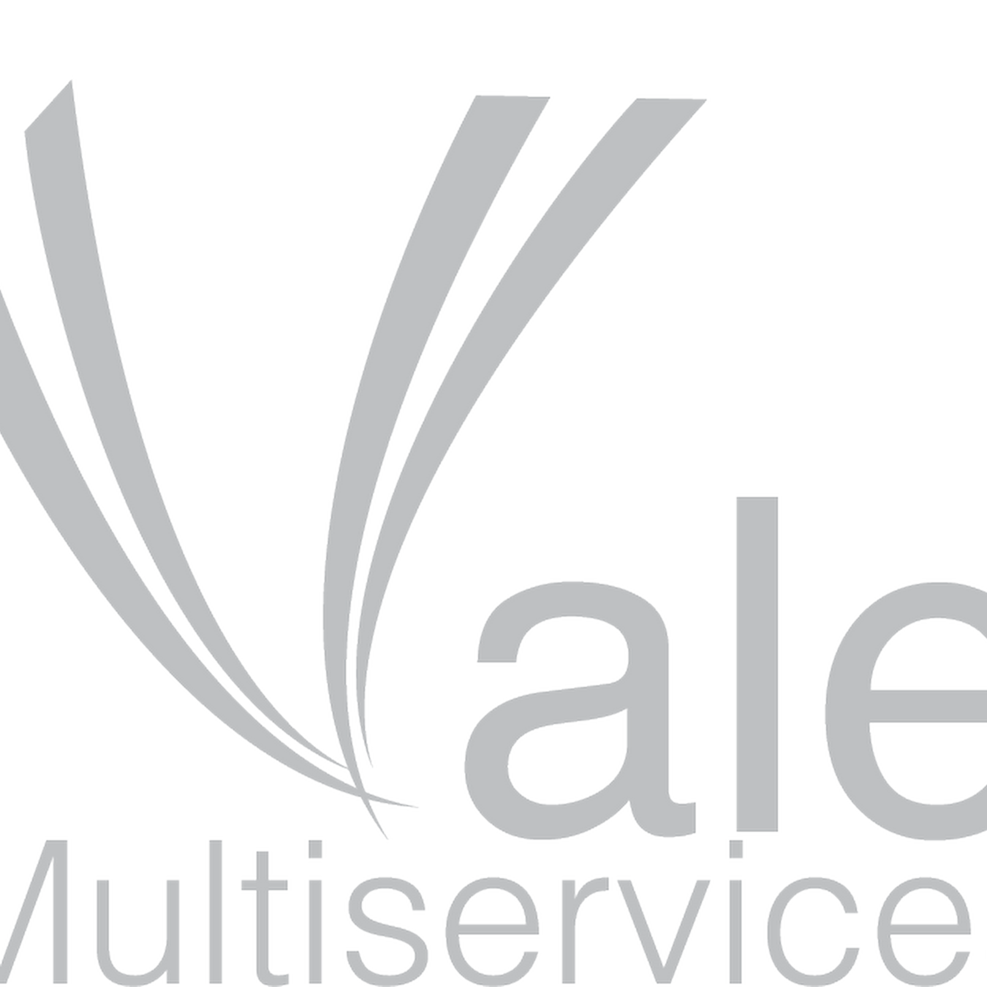 VALE MULTISERVICES