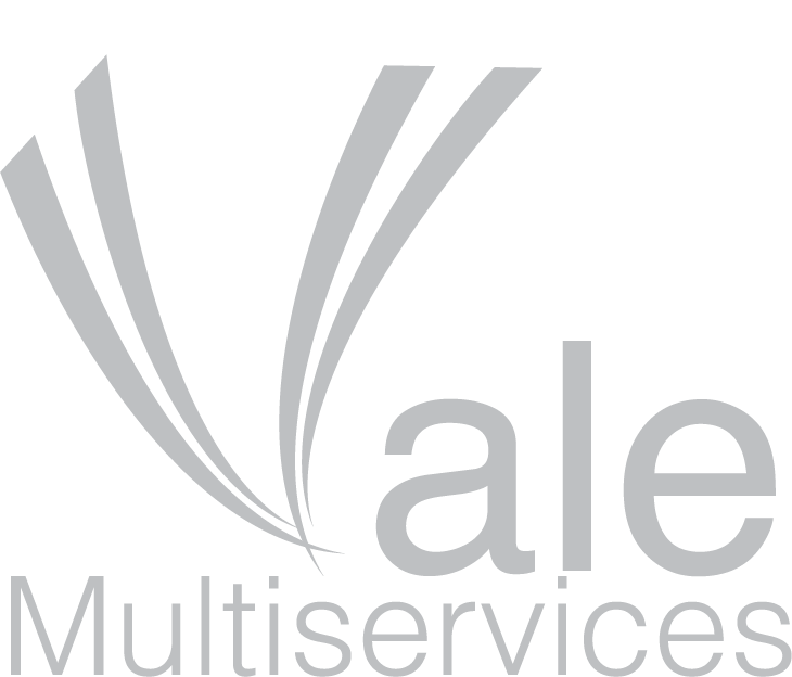 VALE MULTISERVICES
