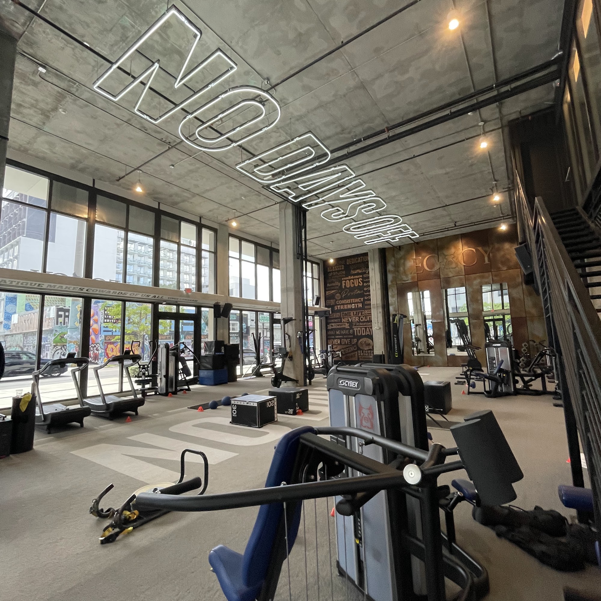 Force Physical Therapy - Wynwood