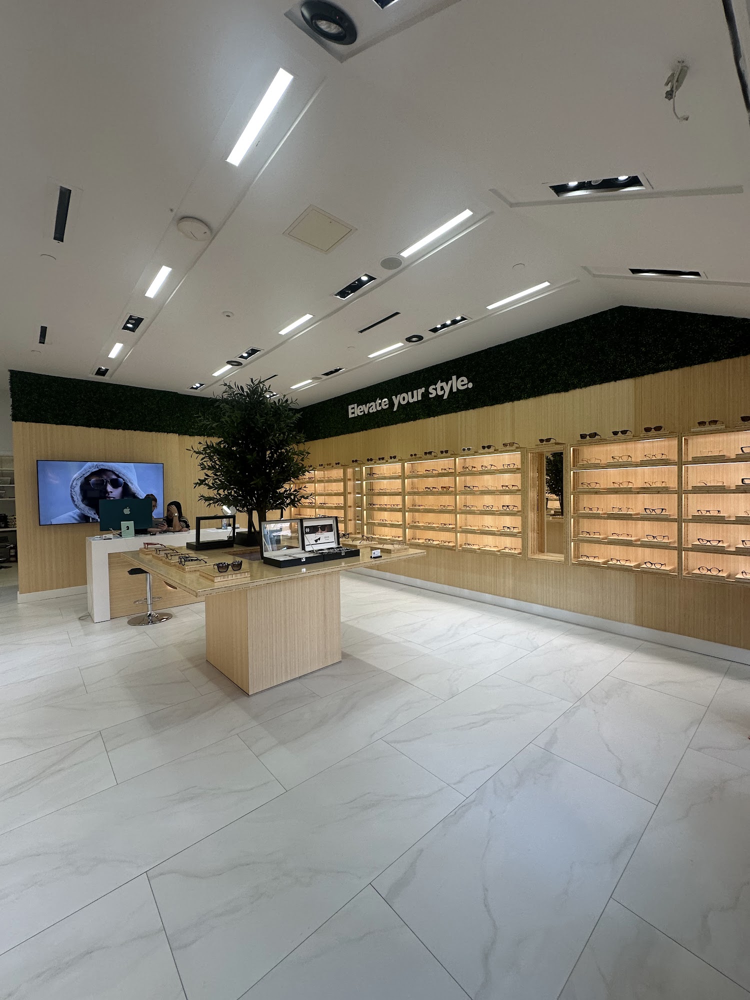 Rozin Optical International