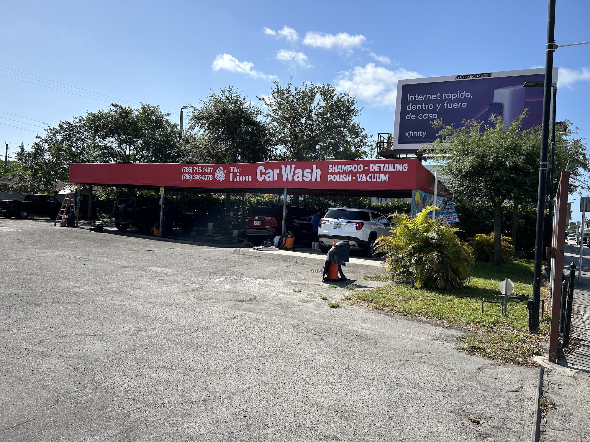 The Lion Auto Detailing Services LLC