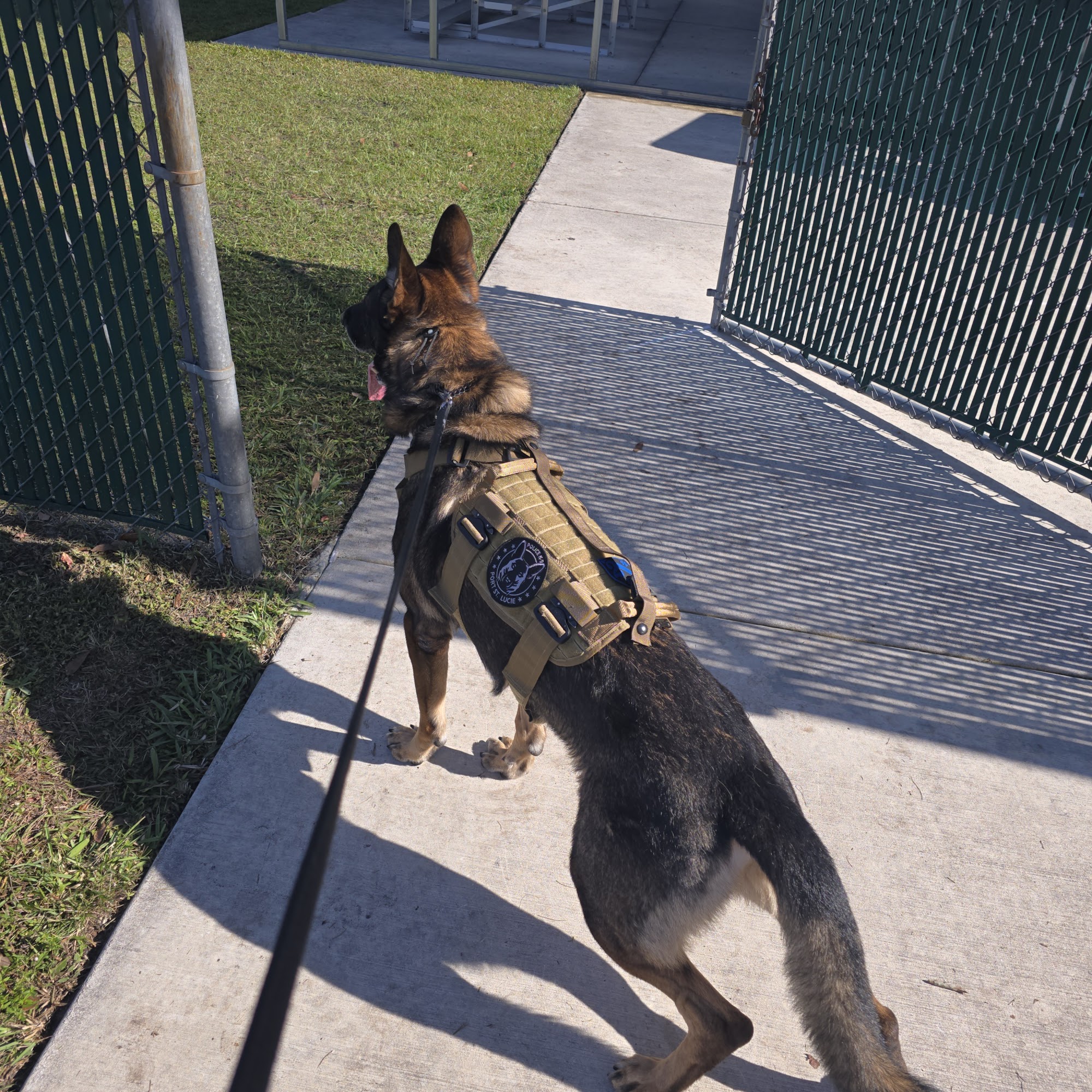 Metro Dade K-9 Services
