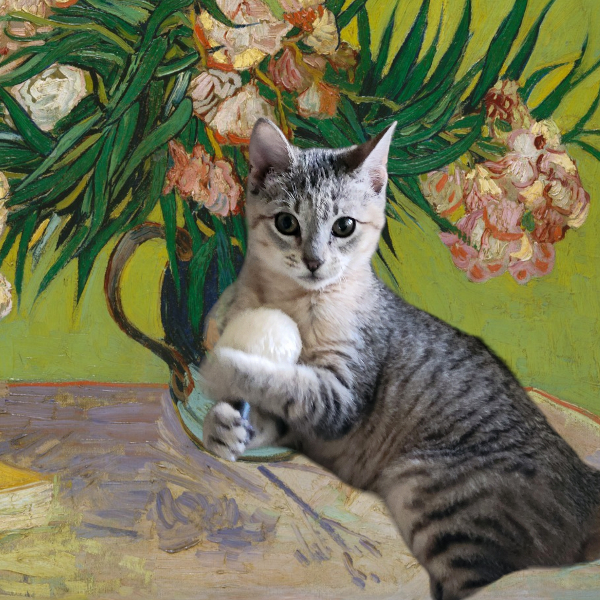 Doctors Inlet Animal Hospital Middleburg