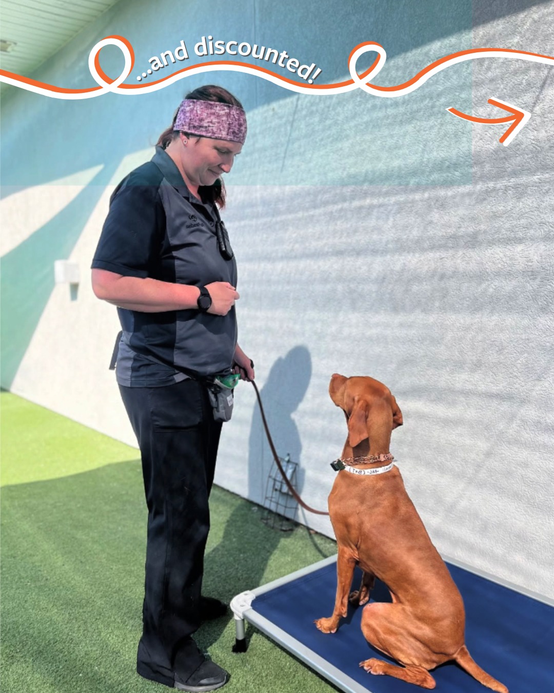 Pet Paradise Oakleaf Middleburg