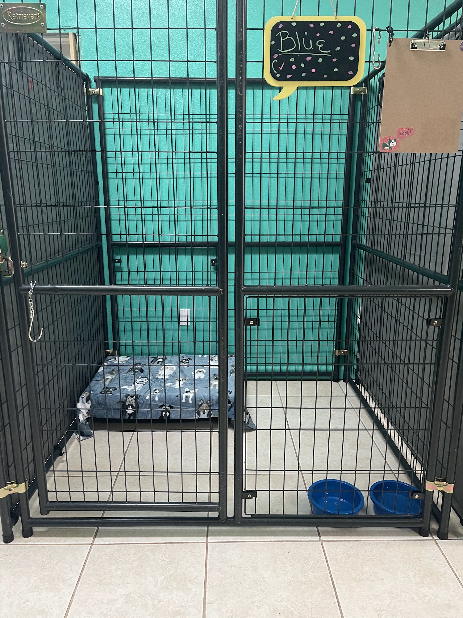 Chase-n-tails services Milton