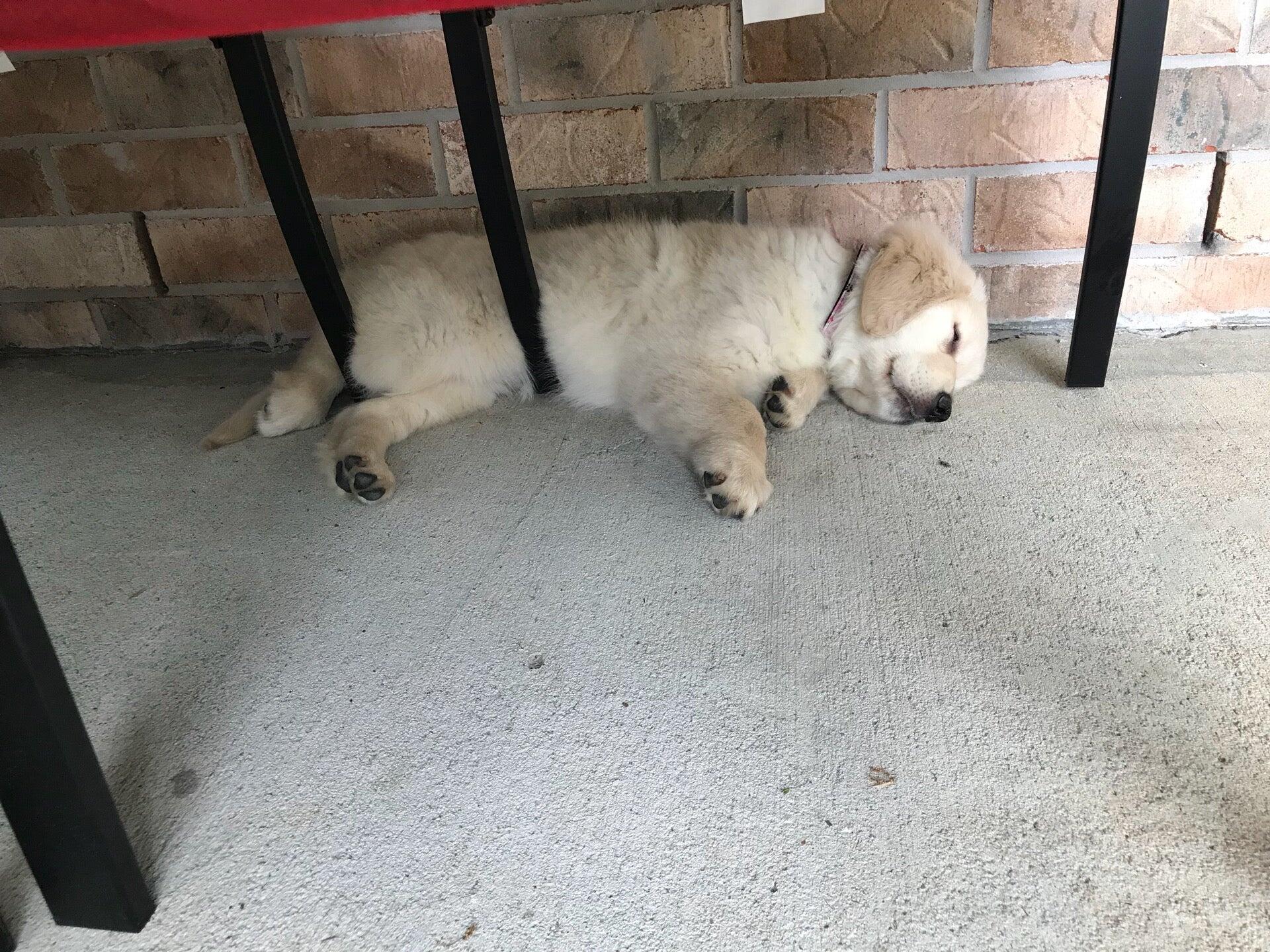 Photo credit: nextdoor