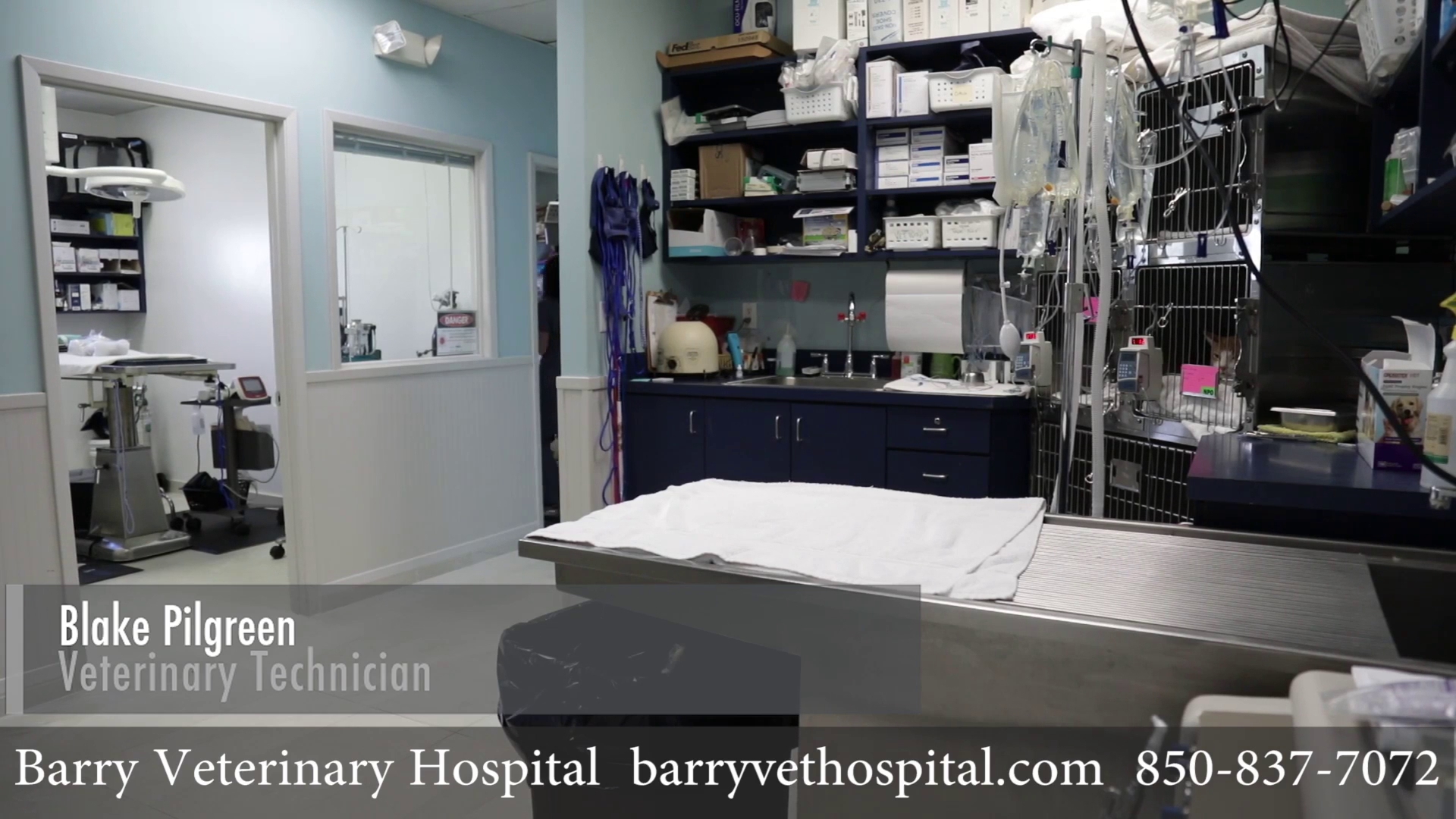 Barry Veterinary Hospital Miramar Beach