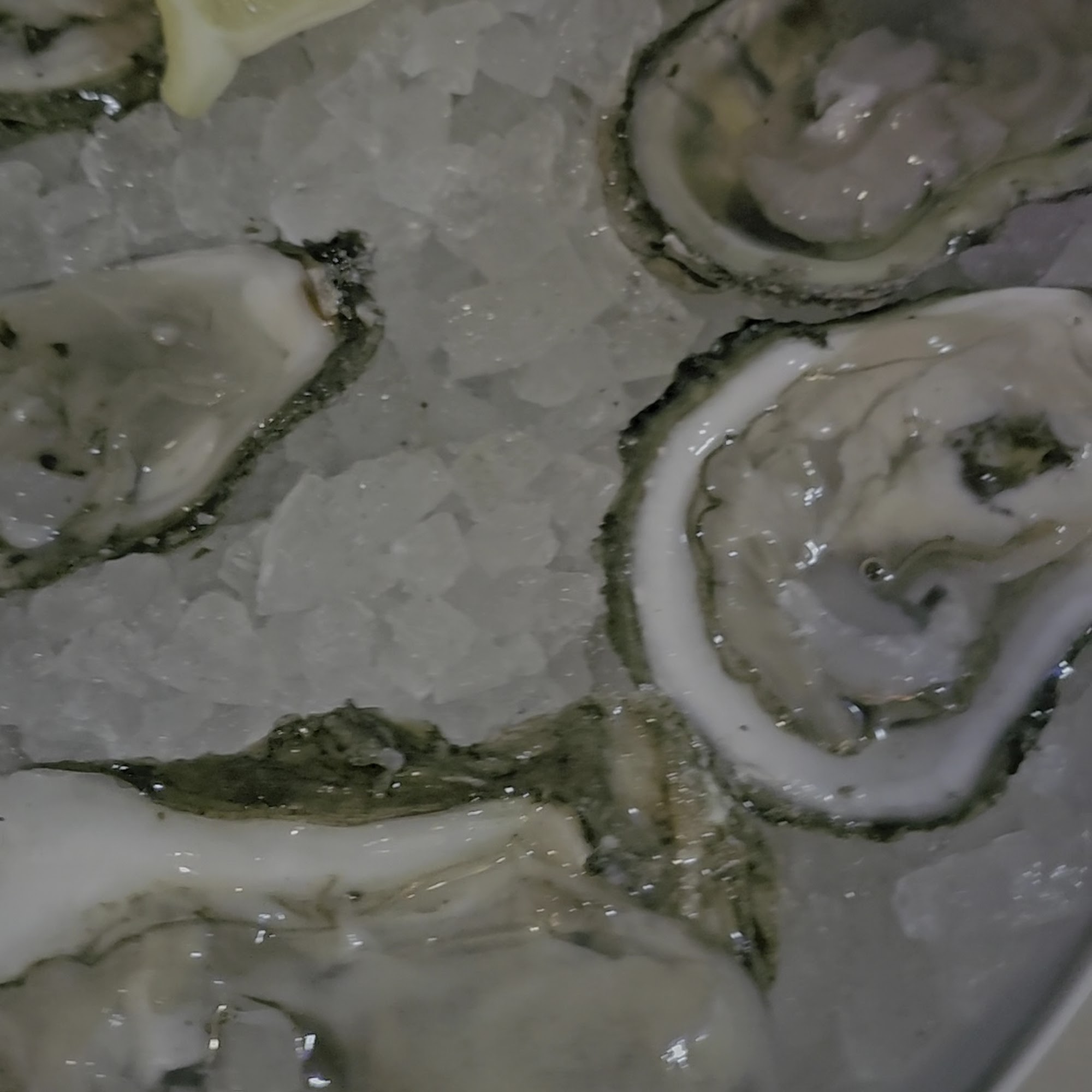 Austons on 98 Miramar Beach