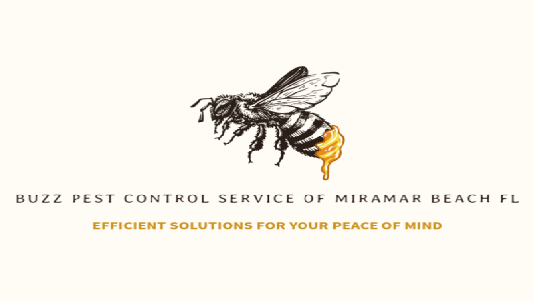 Buzz Pest control service of miramar beach FL