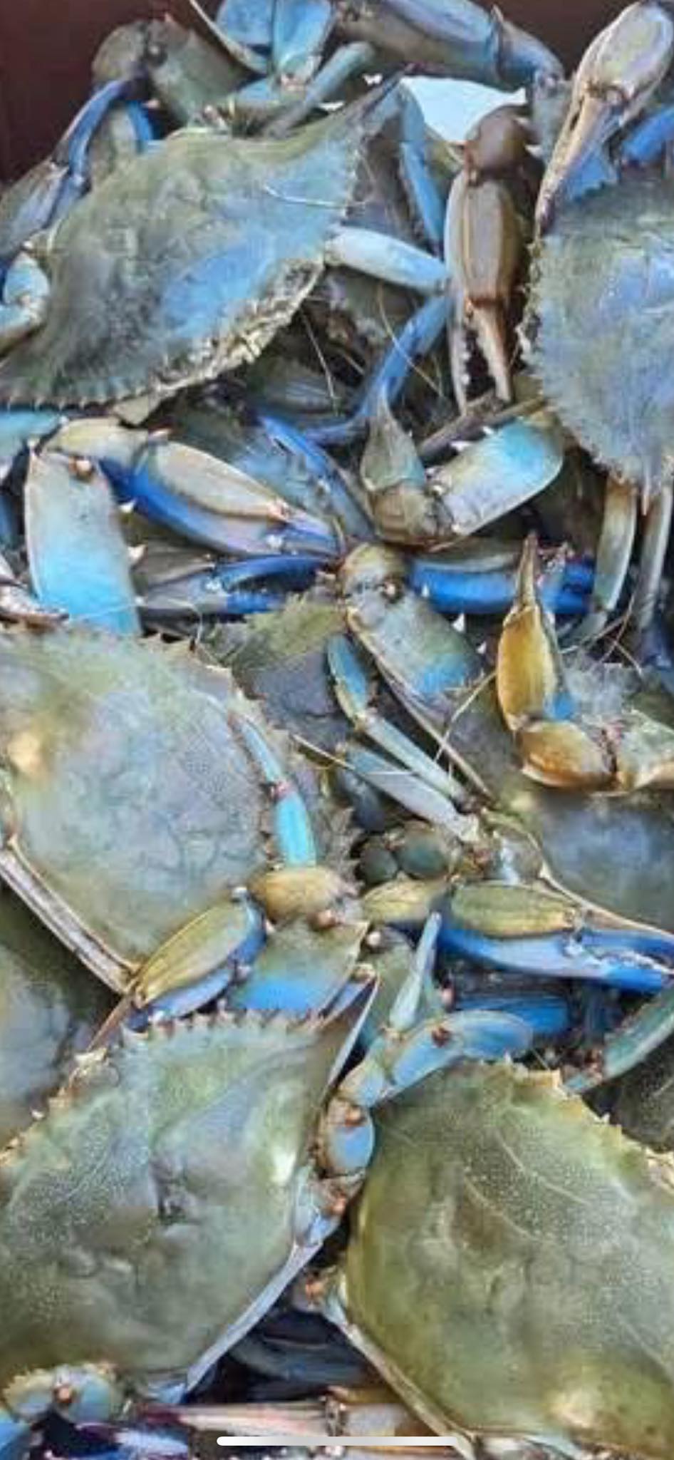 Thomas E Miller Seafood