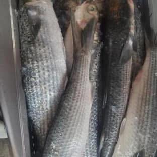 Thomas E Miller Seafood