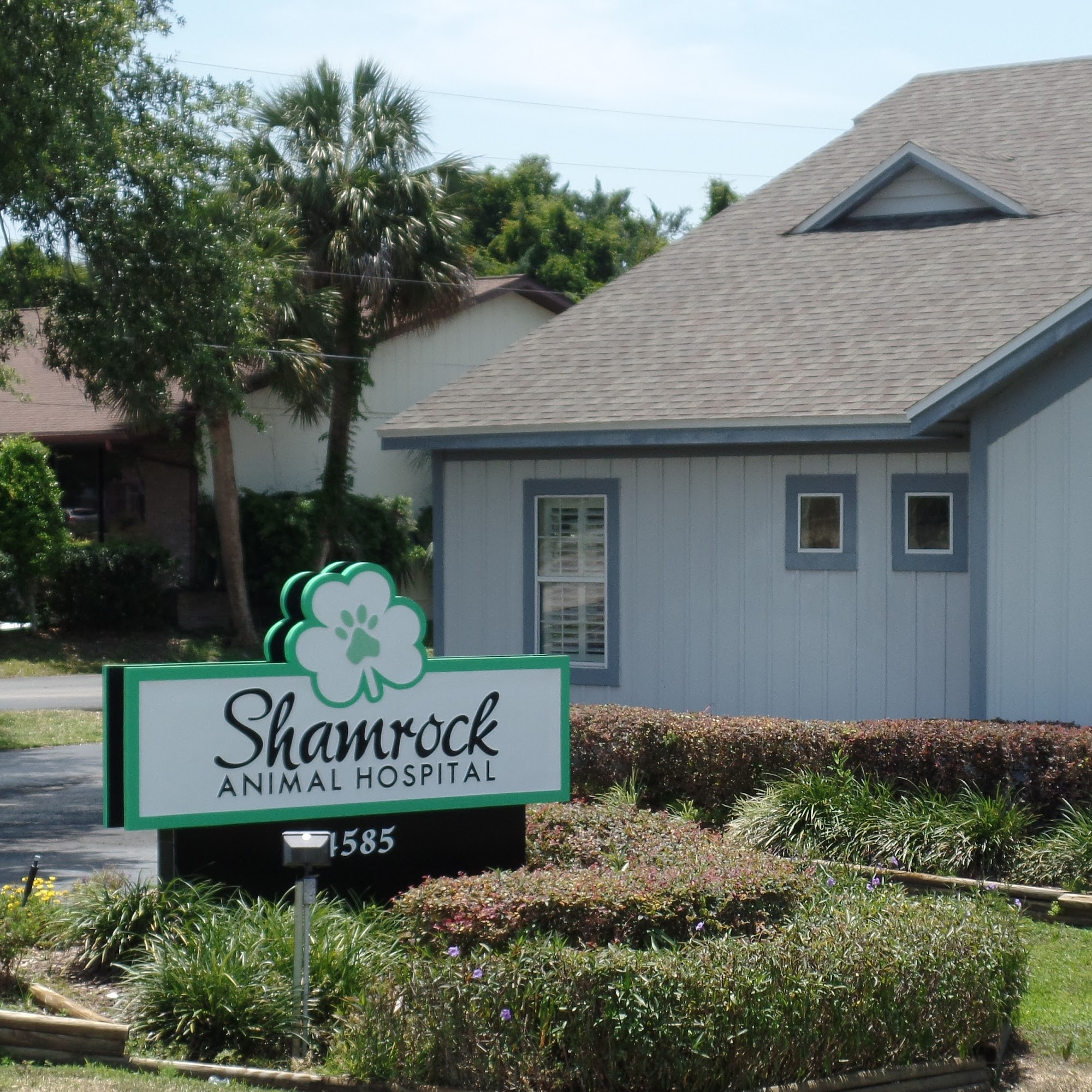 Shamrock Animal Hospital Mount Dora
