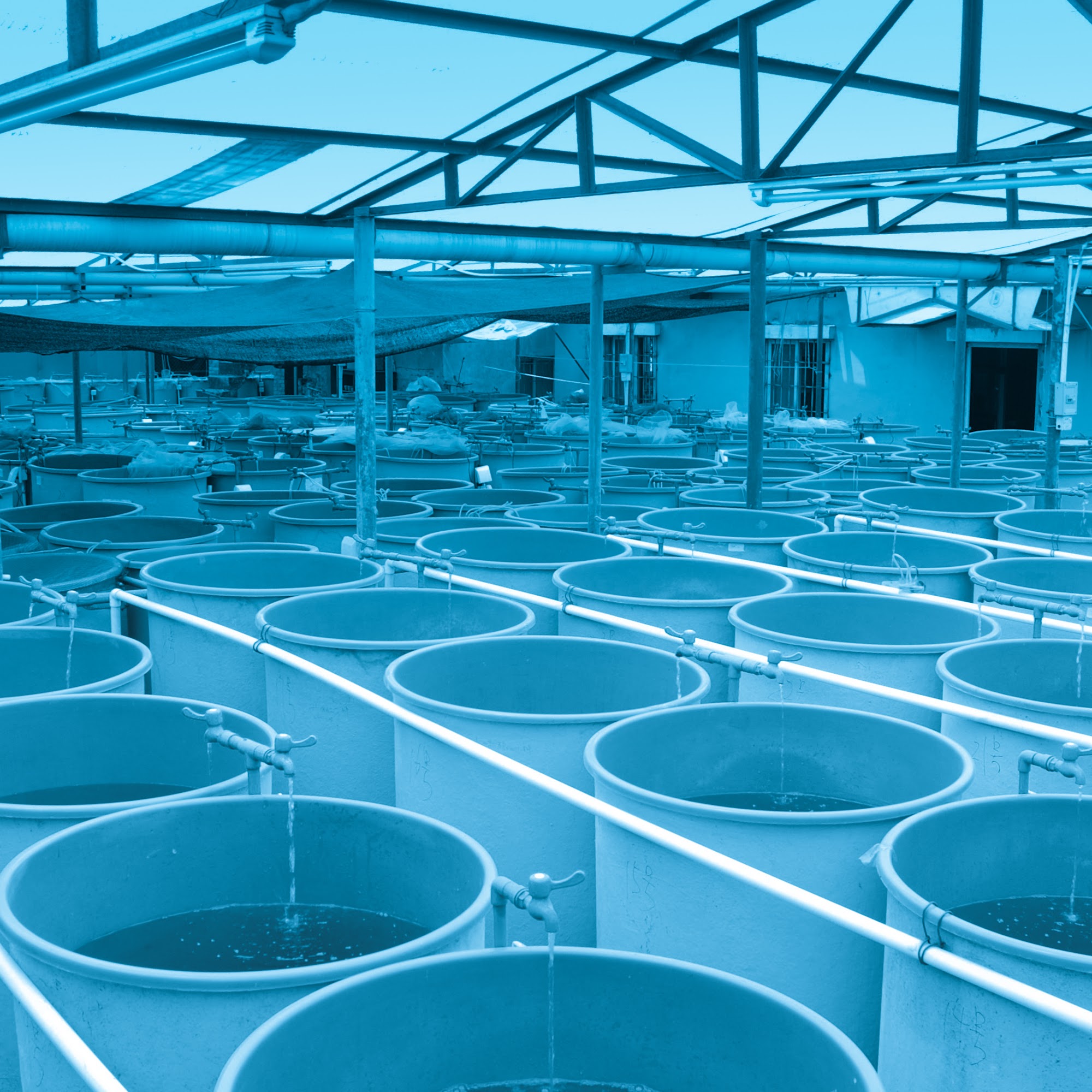 Aquatic Equipment and Design Mount Dora