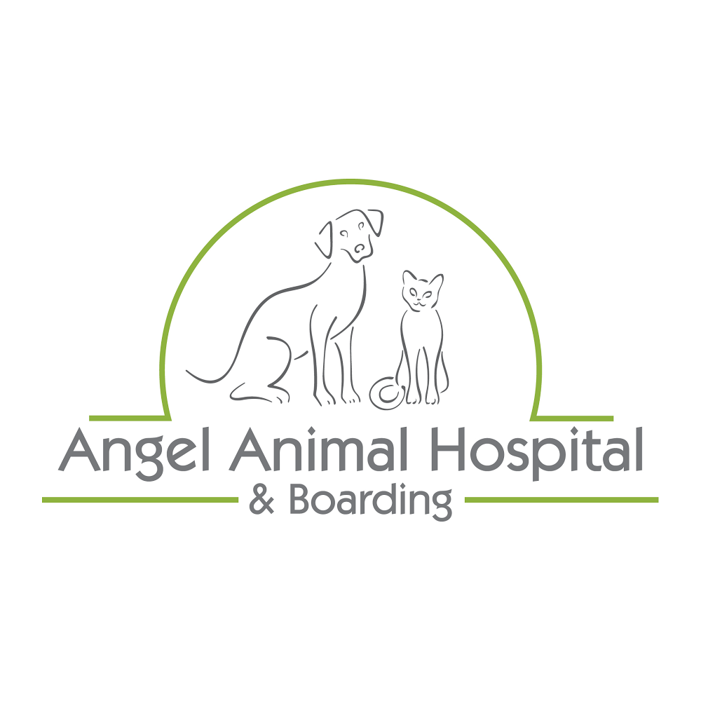 Angel Animal Hospital & Boarding Naples