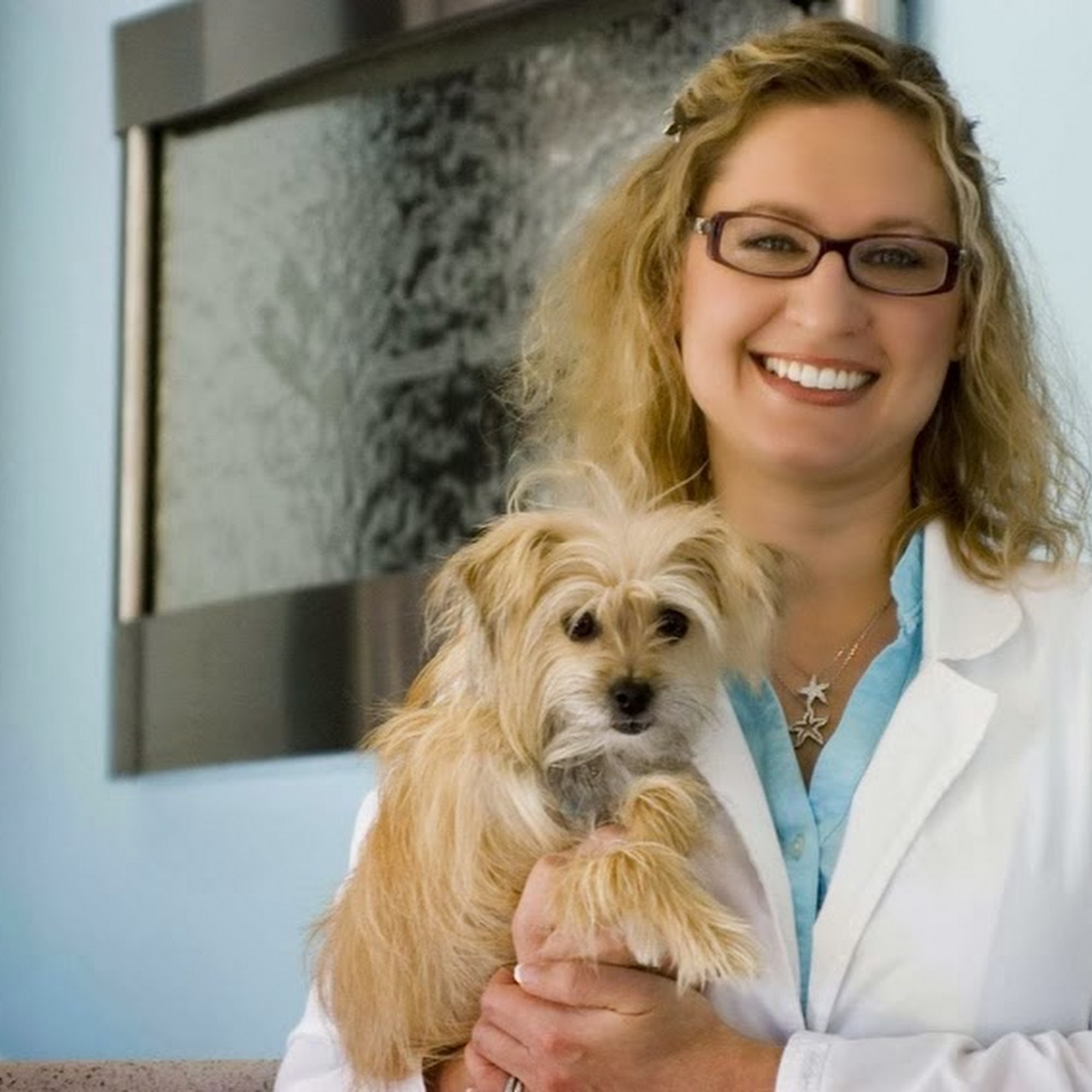 Olde Naples Animal Wellness Center Naples