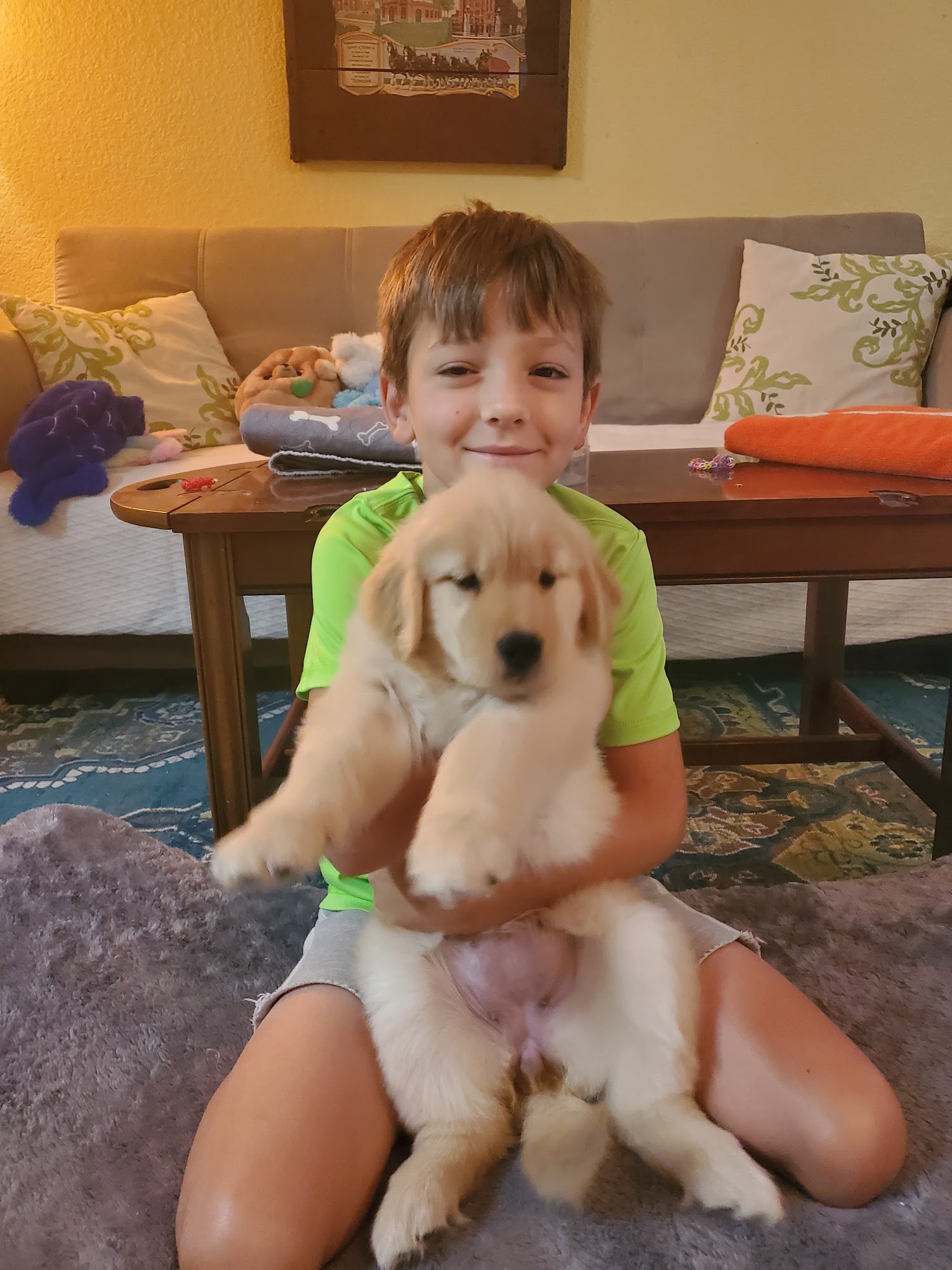 SW Florida Professional Dog Trainers Alliance Naples