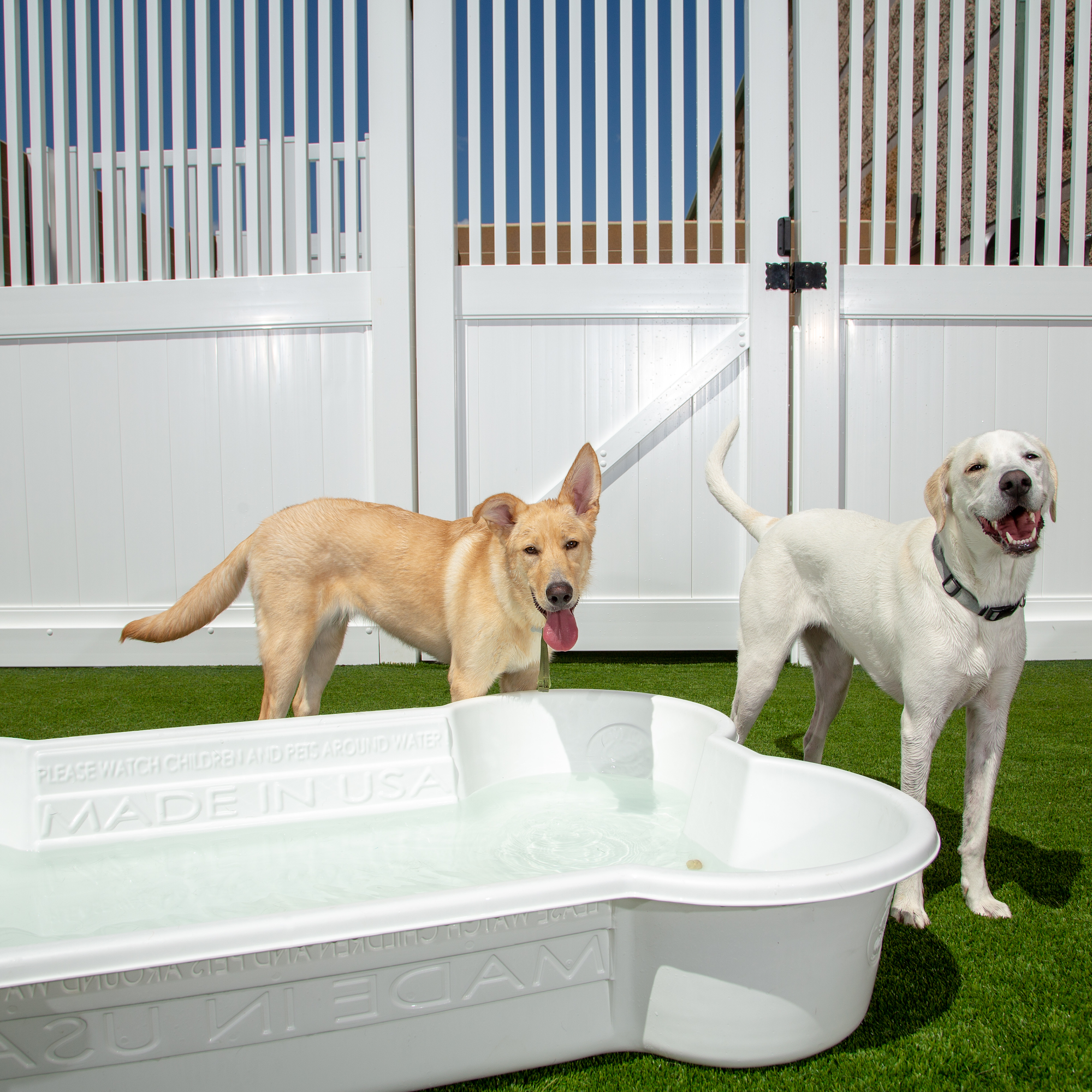 Pet Perfection Naples Naples