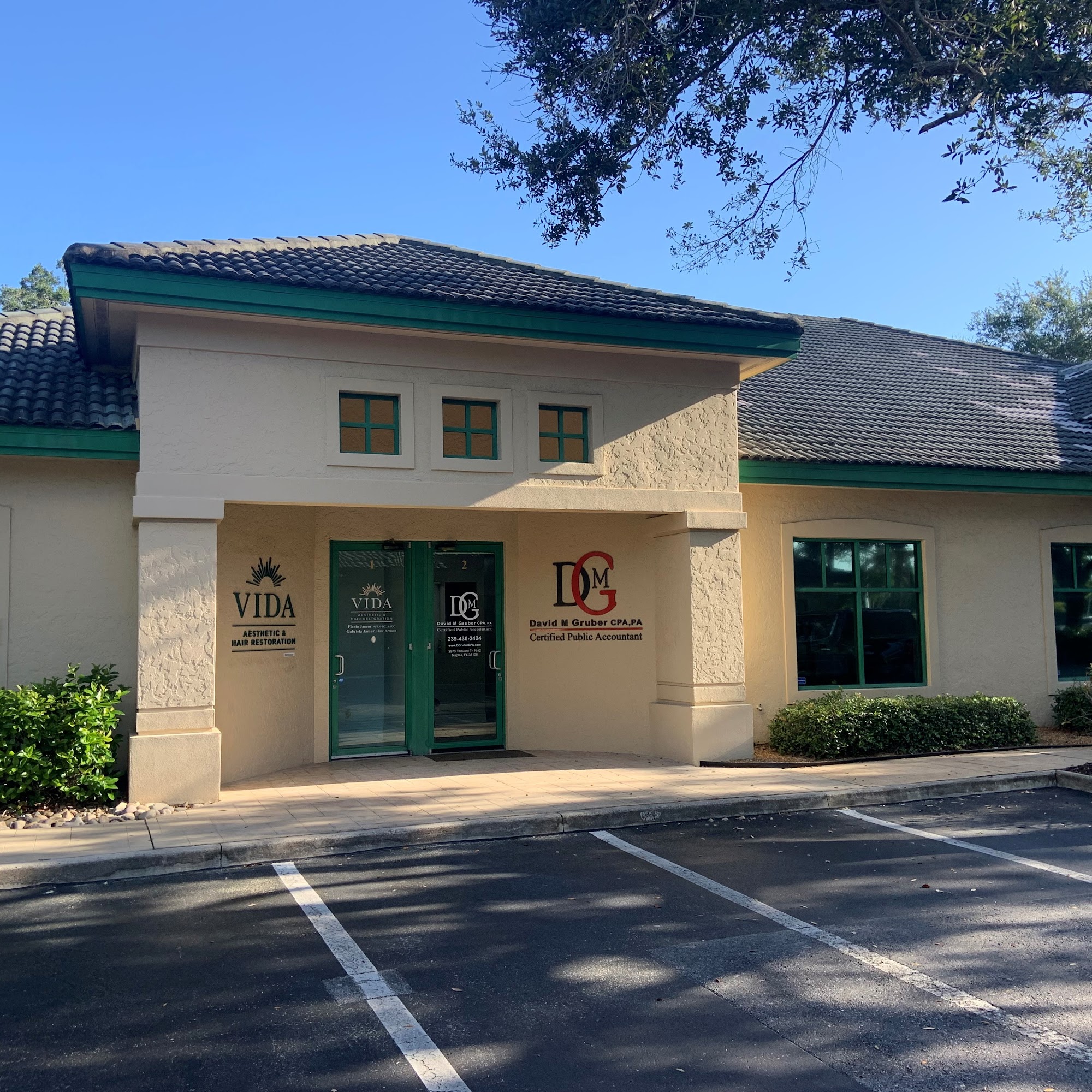 David M Gruber CPA PA