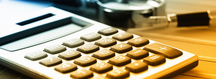 David M Gruber CPA PA