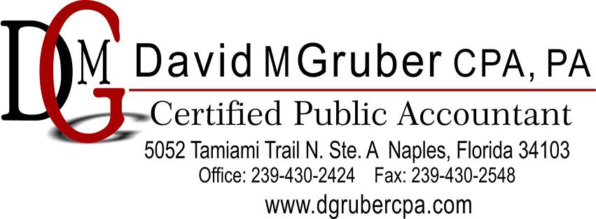 David M Gruber CPA PA