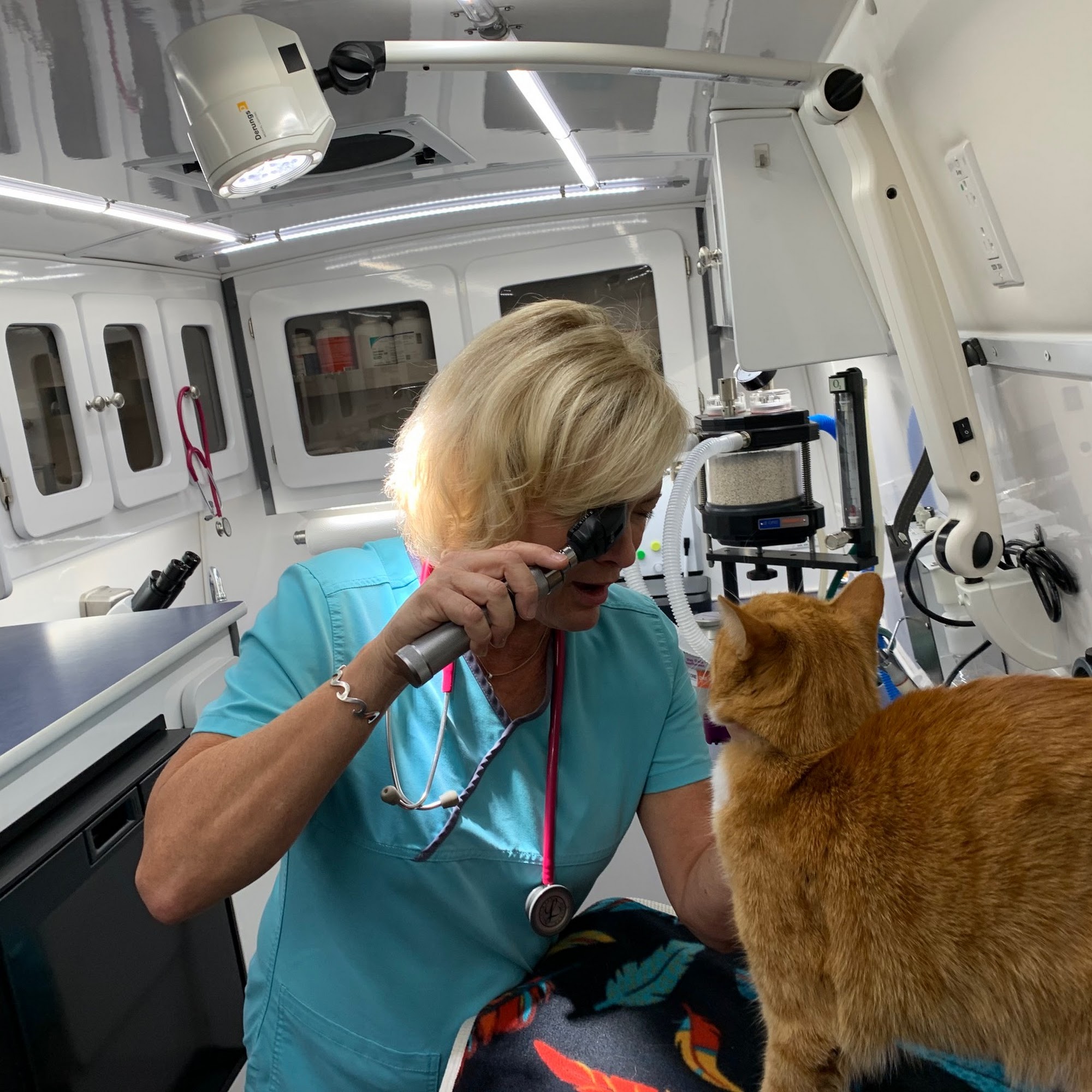 NAPLES MOBILE VET CLINIC, LLC Naples