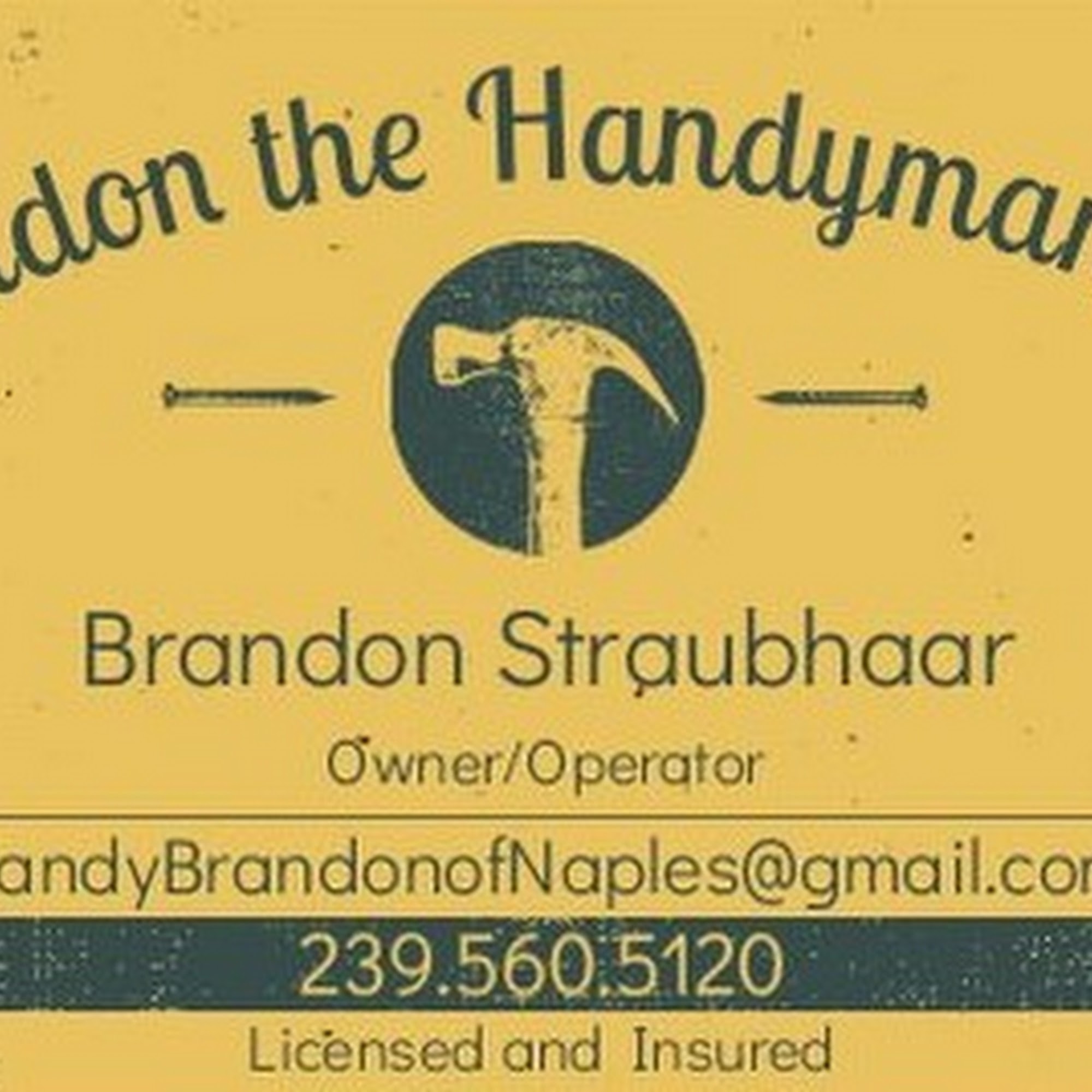 Brandon the Handyman LLC