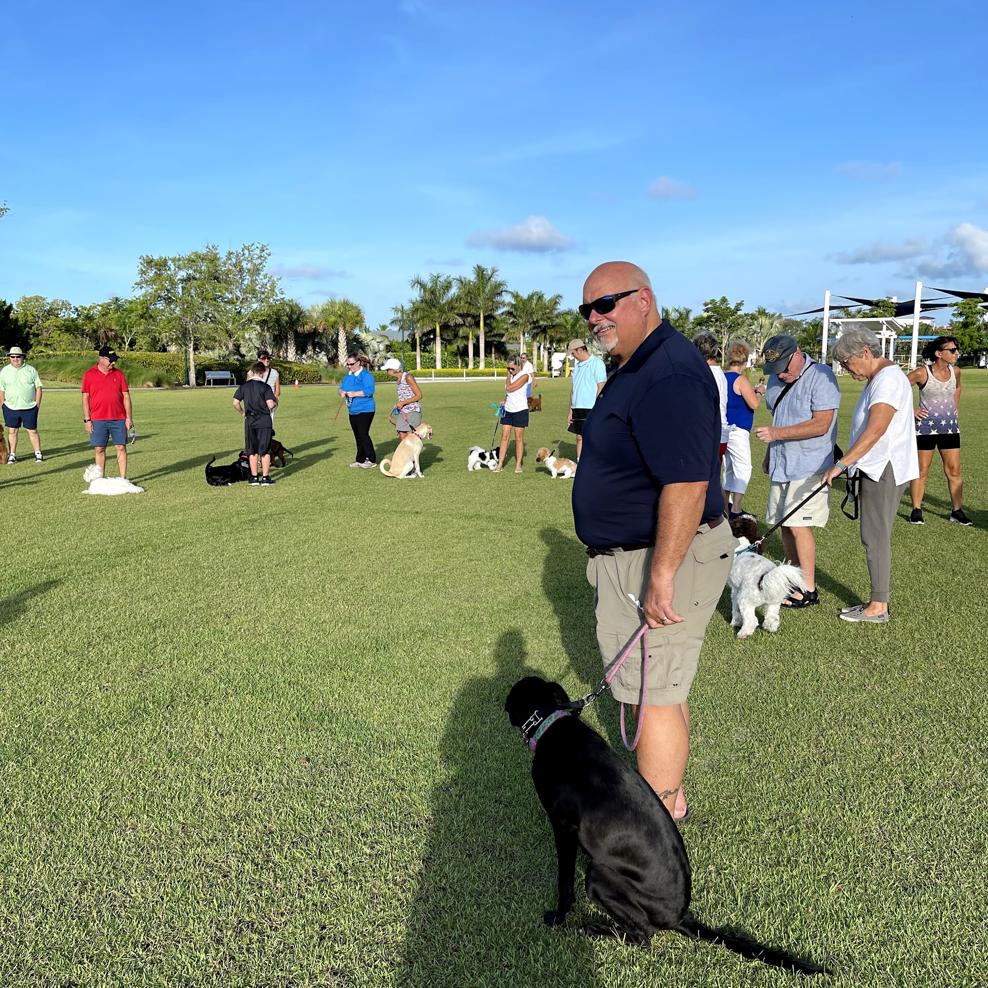 Best Friends Dog Training Naples FL Naples
