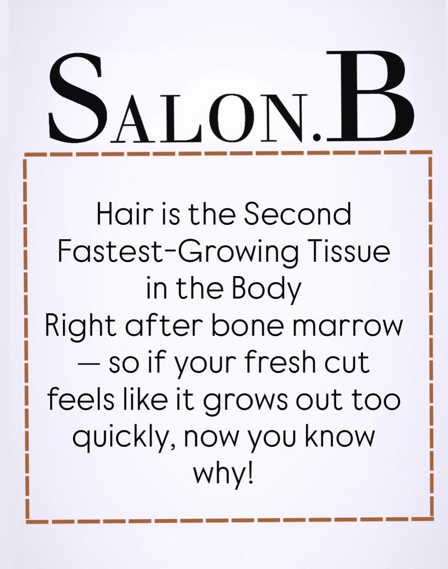 Salon B