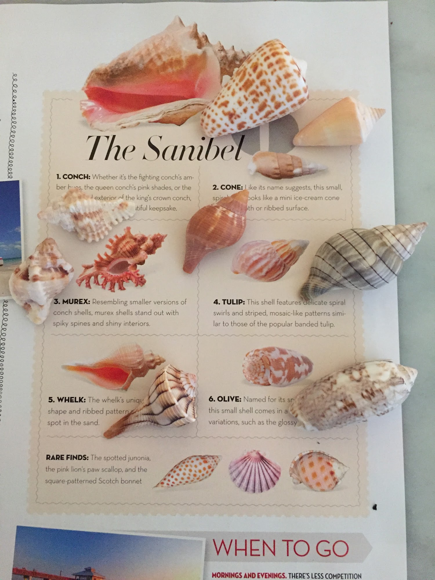 Naples Illustrated Naples