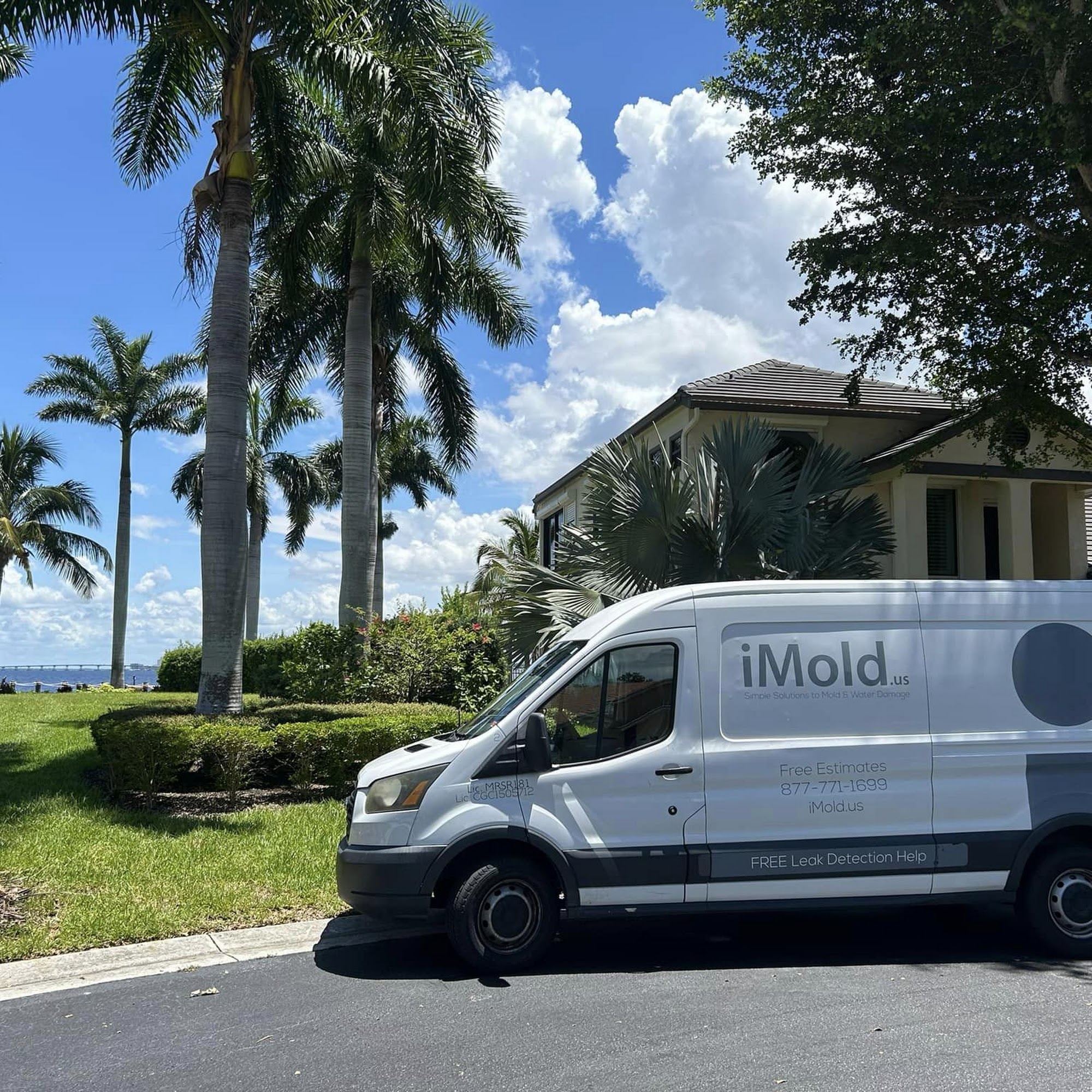 iMold Cleaning and Restoration - Water Damage and Mold Removal Specialists