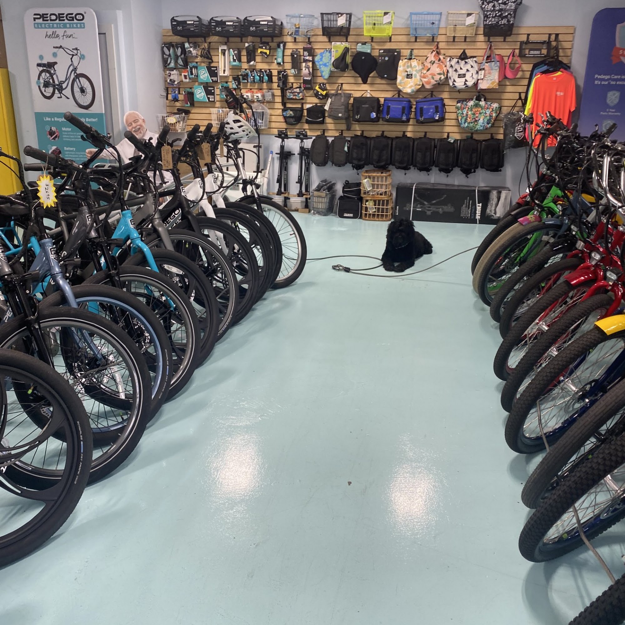 Pedego Electric Bikes Naples