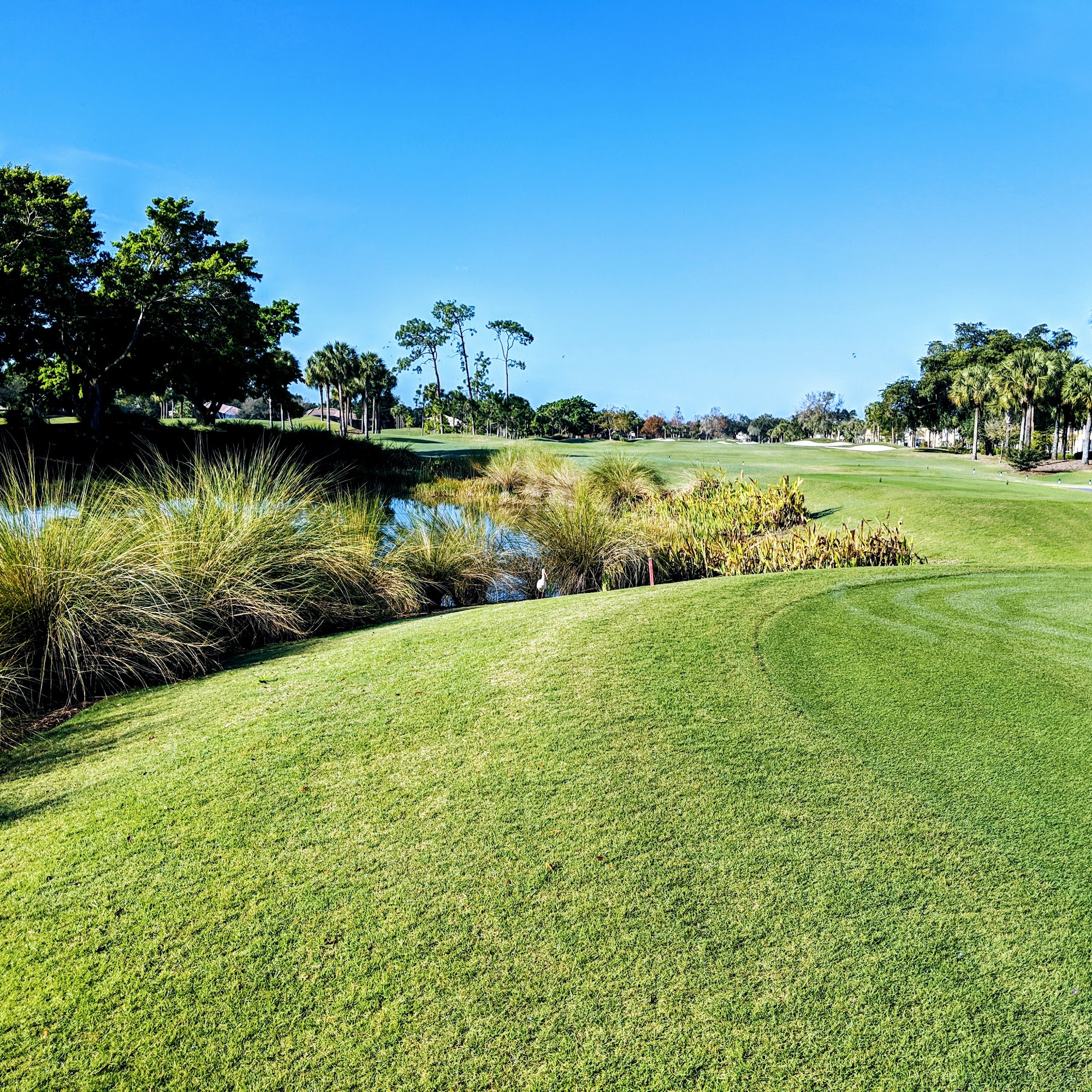 Pelican Marsh Golf Club Naples