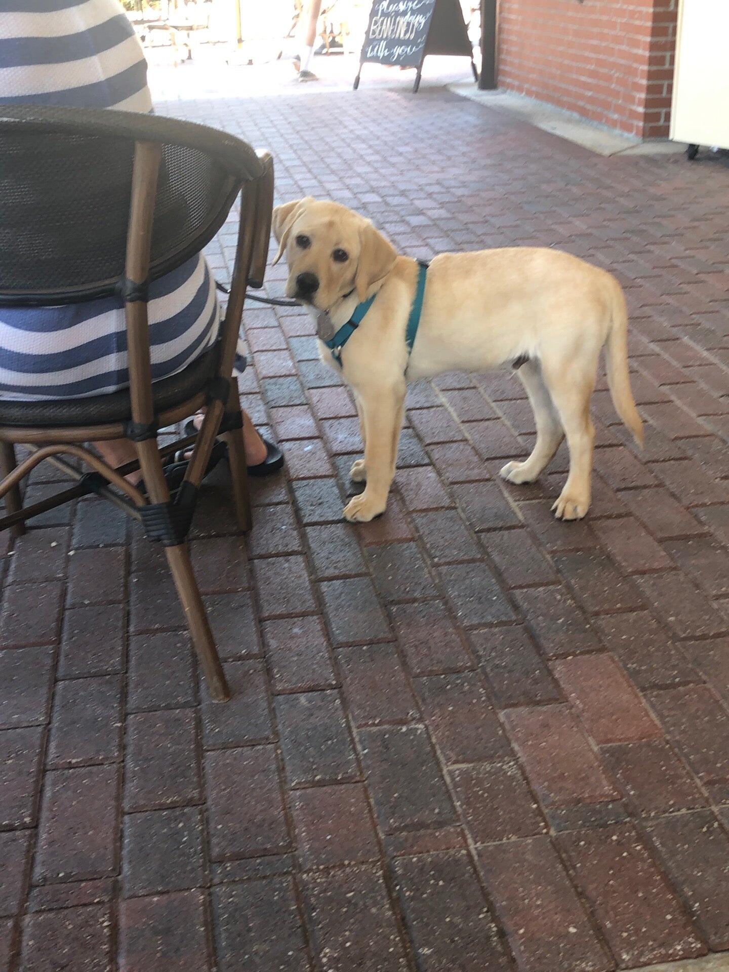 Photo credit: nextdoor