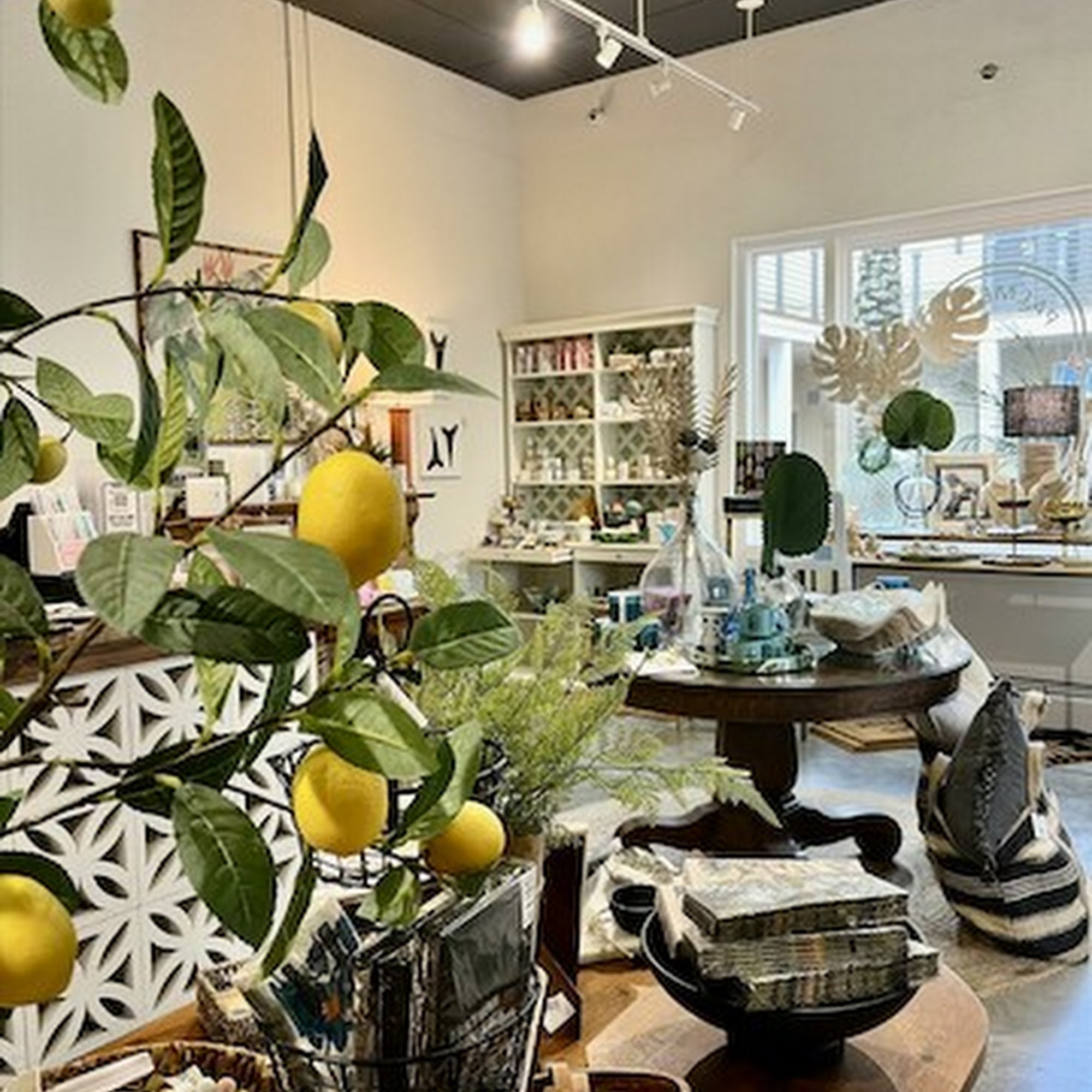 Palmetto | Classic • Home • Fun Neptune Beach