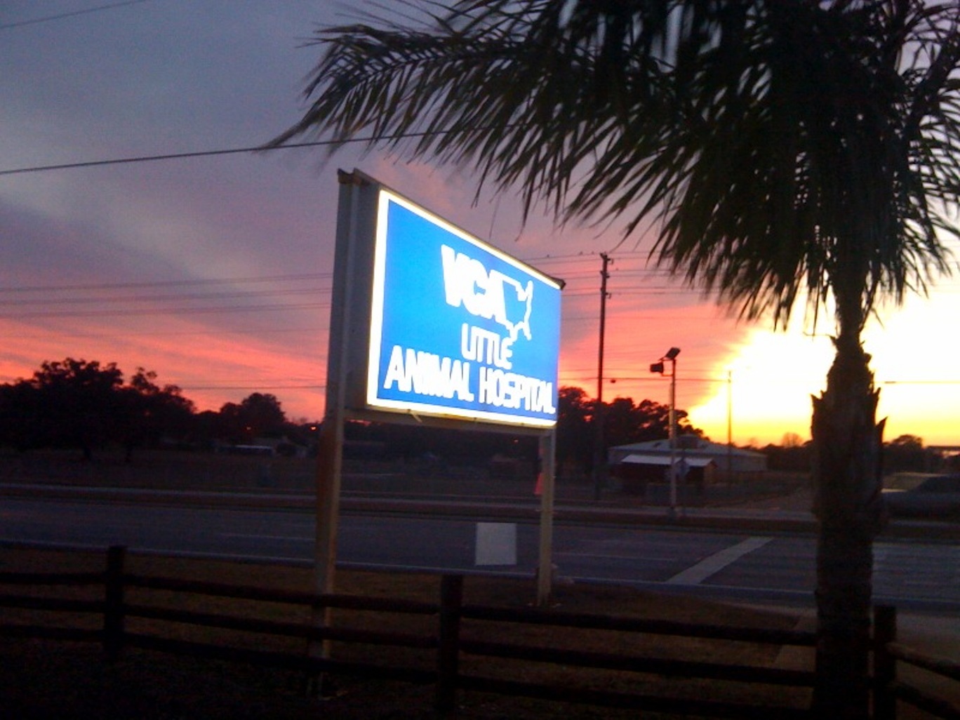 VCA Little Animal Hospital New Port Richey