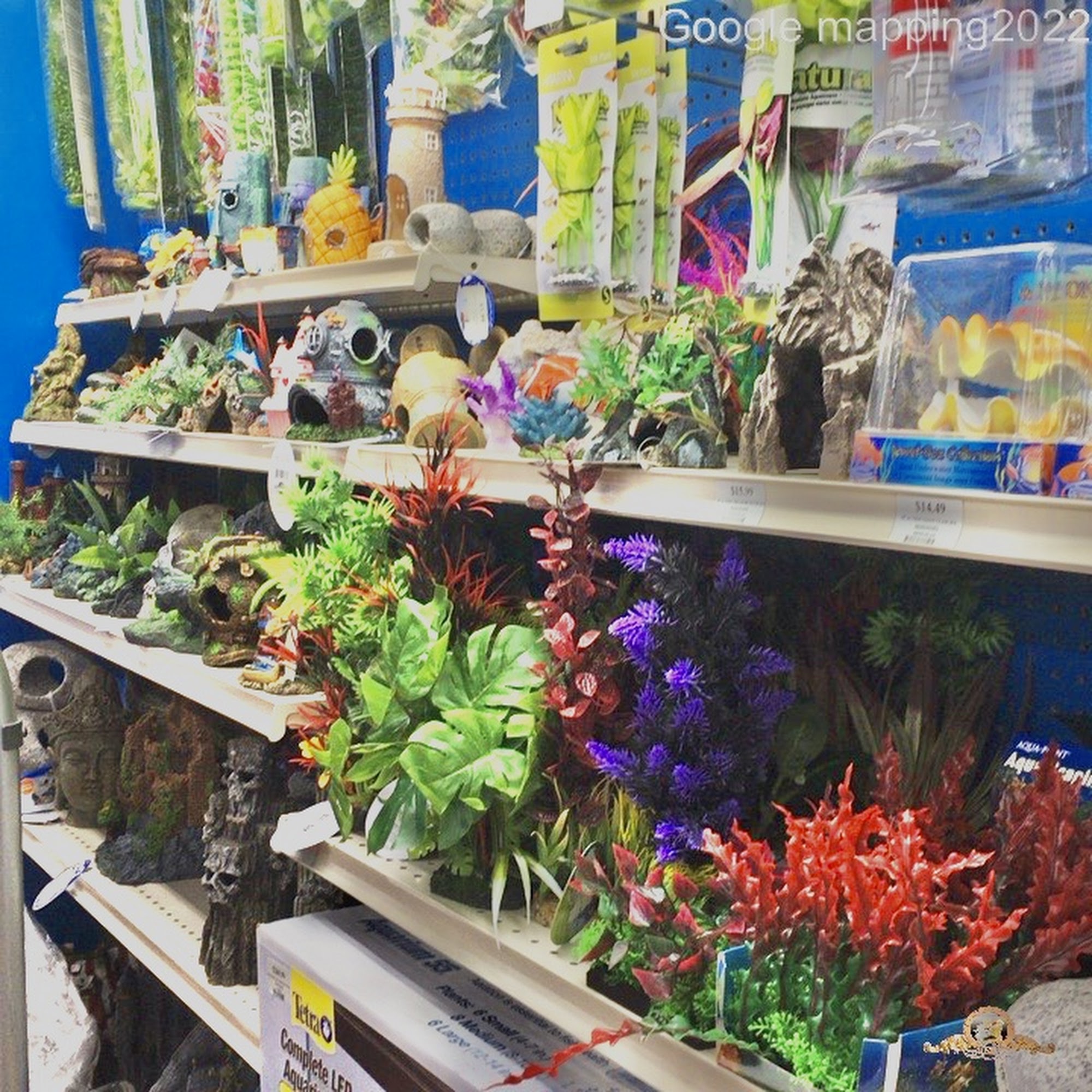 Pet Supermarket New Port Richey
