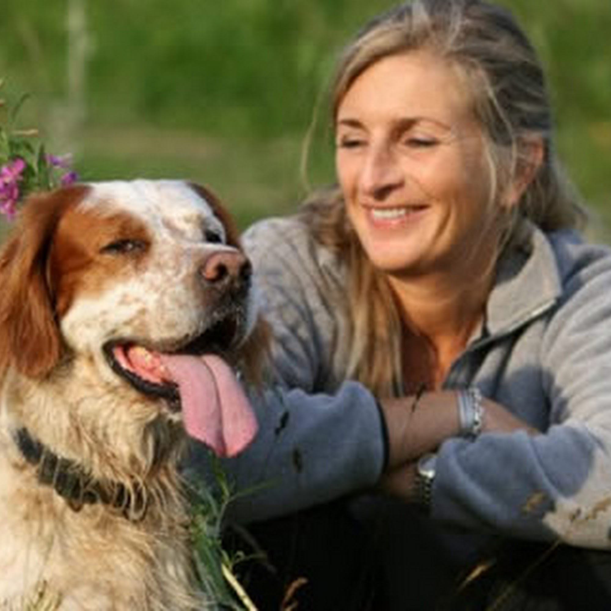 Trinity Pet Hospital New Port Richey