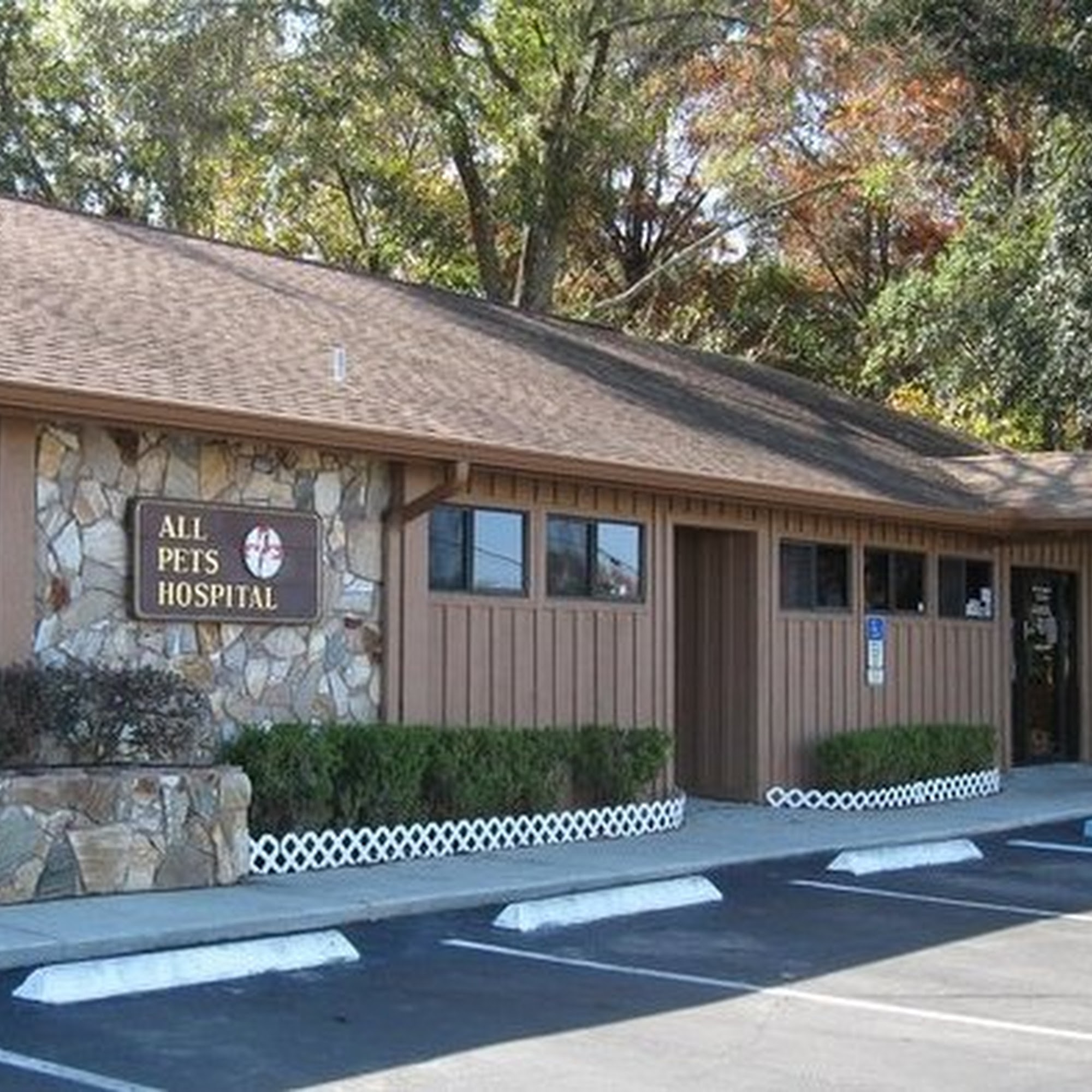 All Pets Hospital New Port Richey