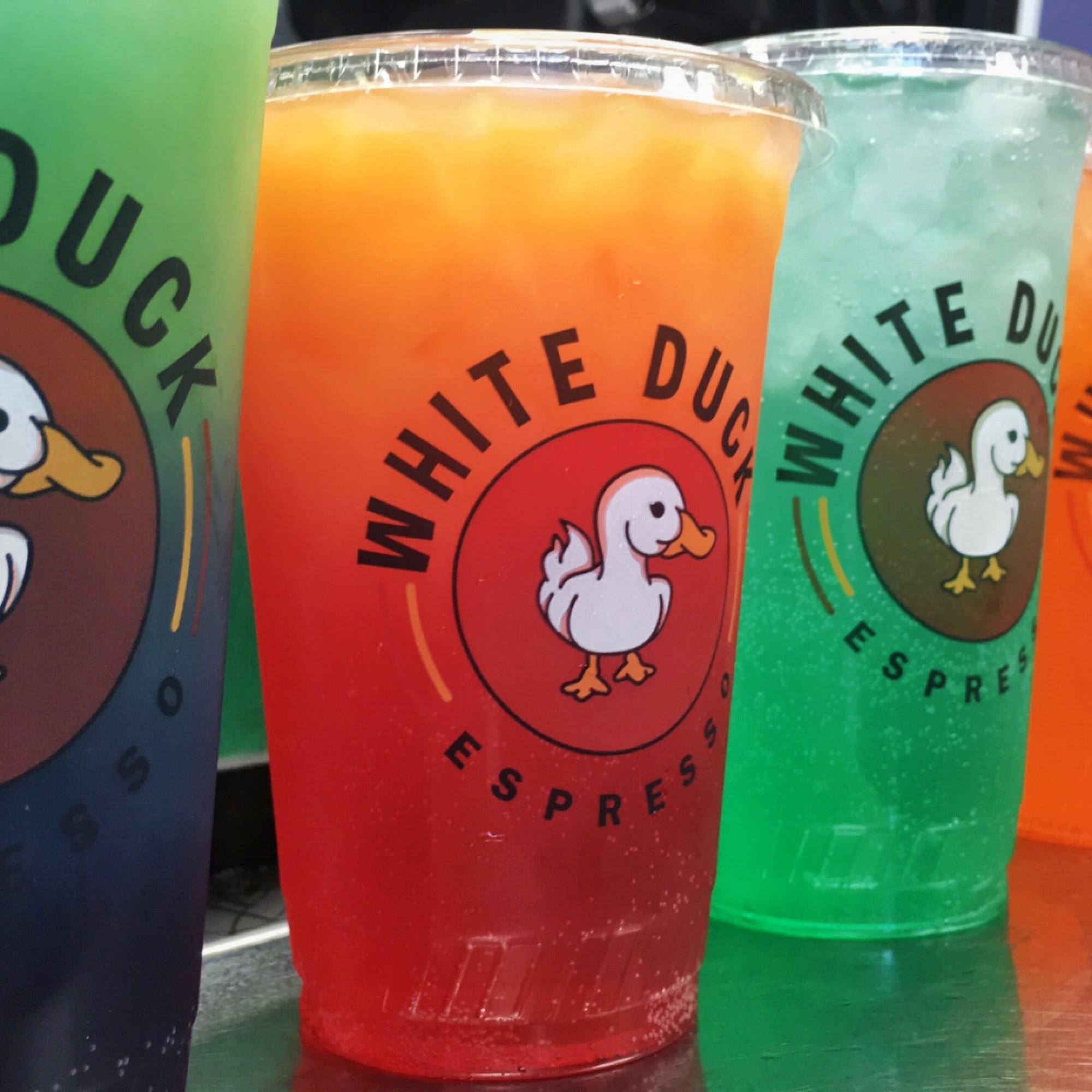 White Duck Espresso New Port Richey